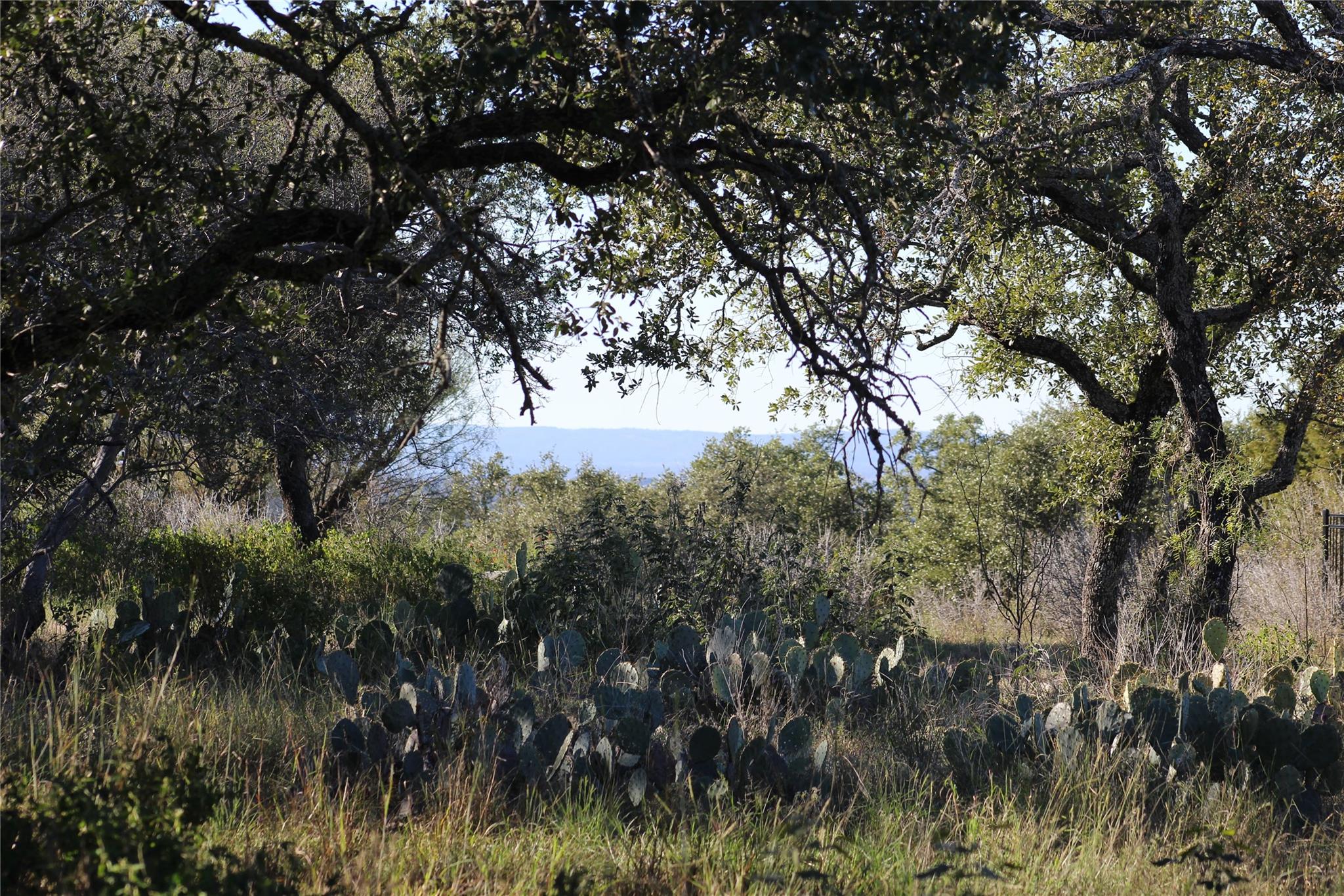 316 Crestview Vw, Horseshoe Bay, TX 78657
