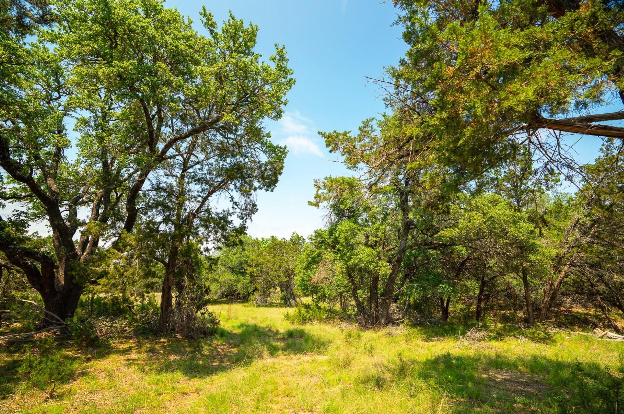 3230 W Fitzhugh Rd, Dripping Springs, TX 78620