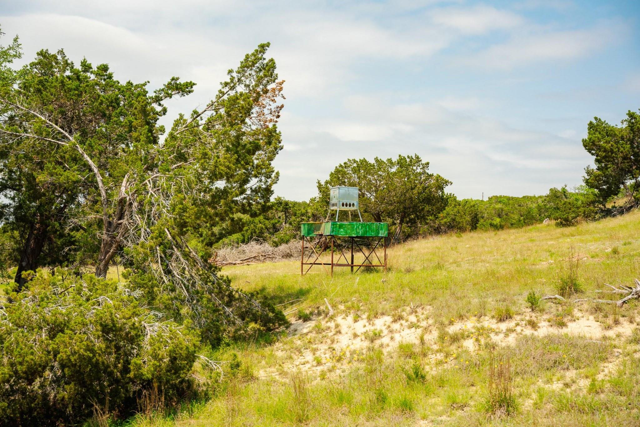 3230 W Fitzhugh Rd, Dripping Springs, TX 78620