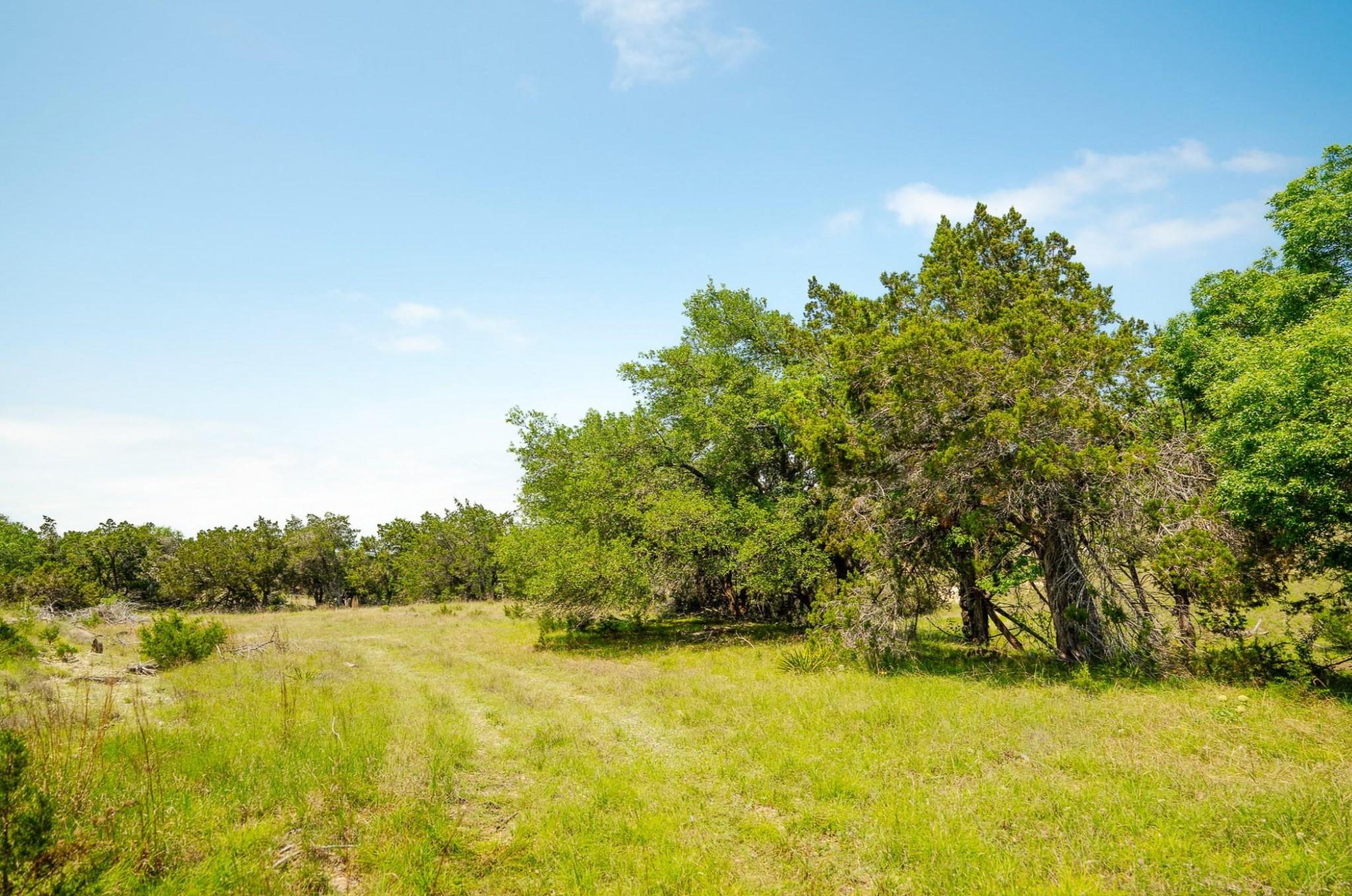 3230 W Fitzhugh Rd, Dripping Springs, TX 78620