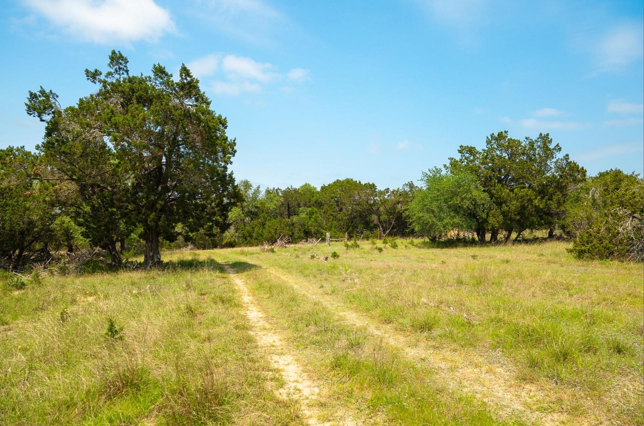 3230 W Fitzhugh Rd, Dripping Springs, TX 78620