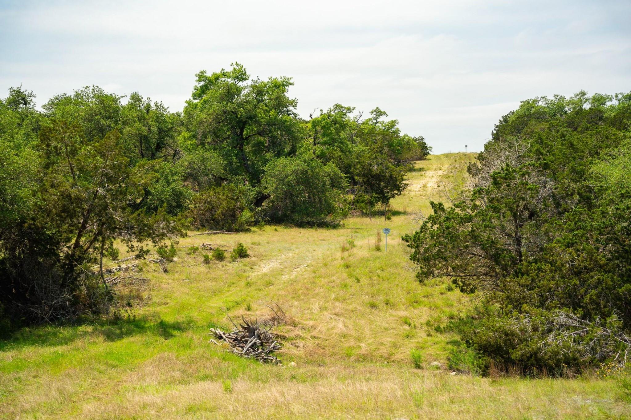 3230 W Fitzhugh Rd, Dripping Springs, TX 78620