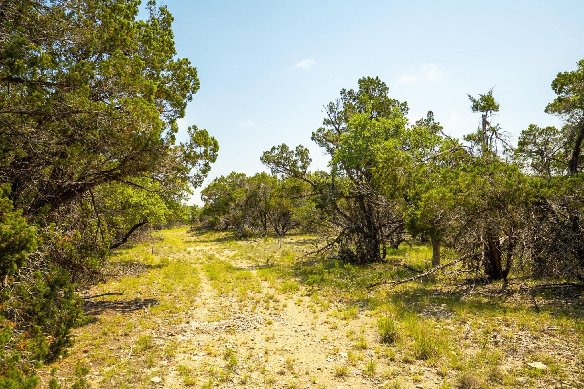 3230 W Fitzhugh Rd, Dripping Springs, TX 78620