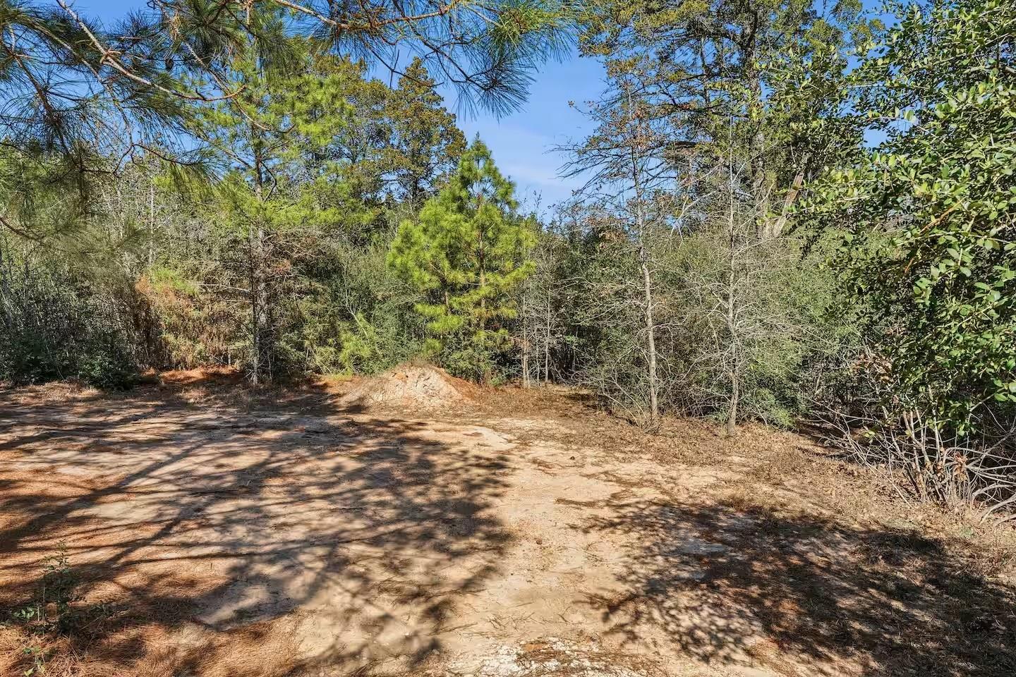 201 Winfield Thicket Rd, Bastrop, TX 78602