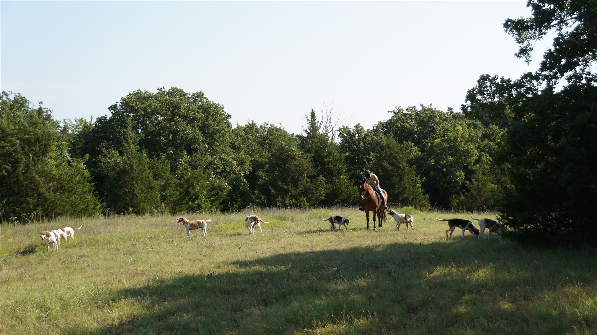 194 Private Road 4663, Boyd, TX 76023