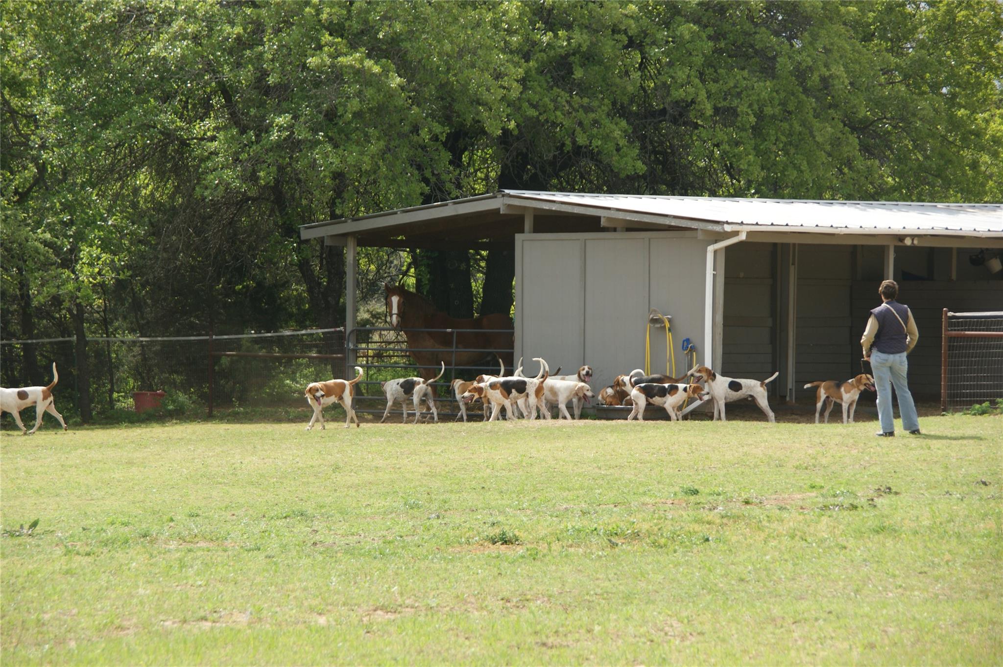 194 Private Road 4663, Boyd, TX 76023
