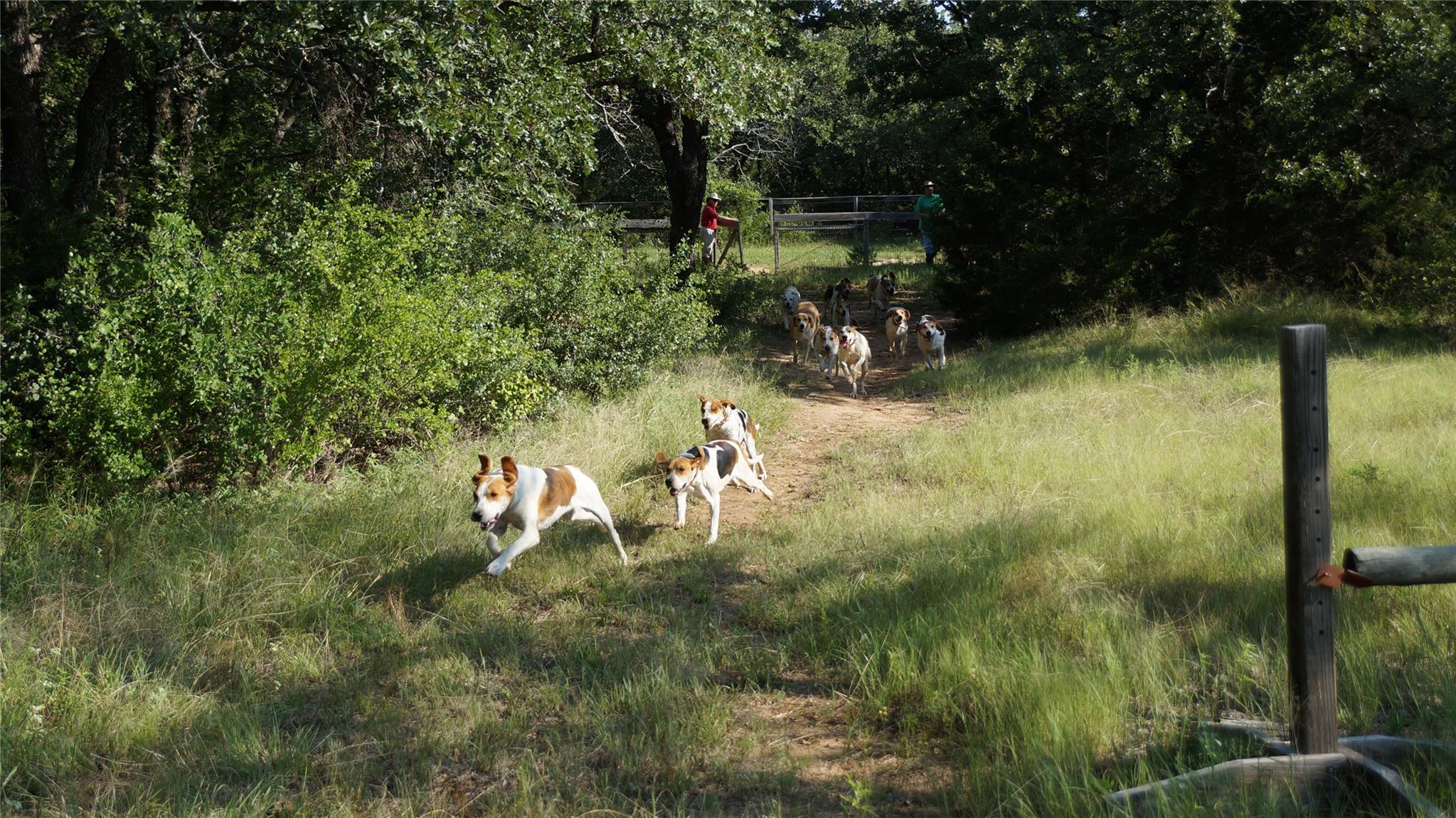 194 Private Road 4663, Boyd, TX 76023