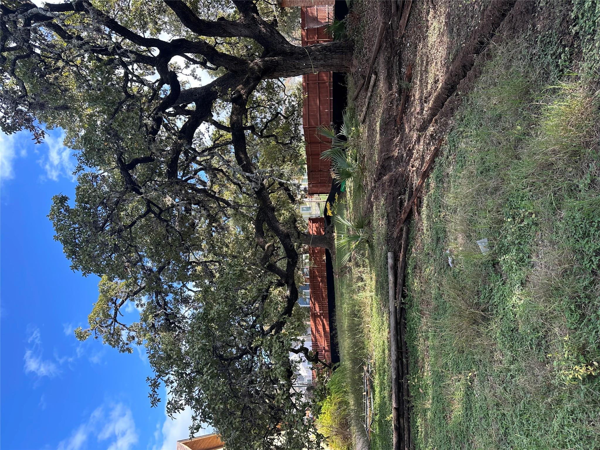 406 W LIVE OAK St, Austin, TX 78704