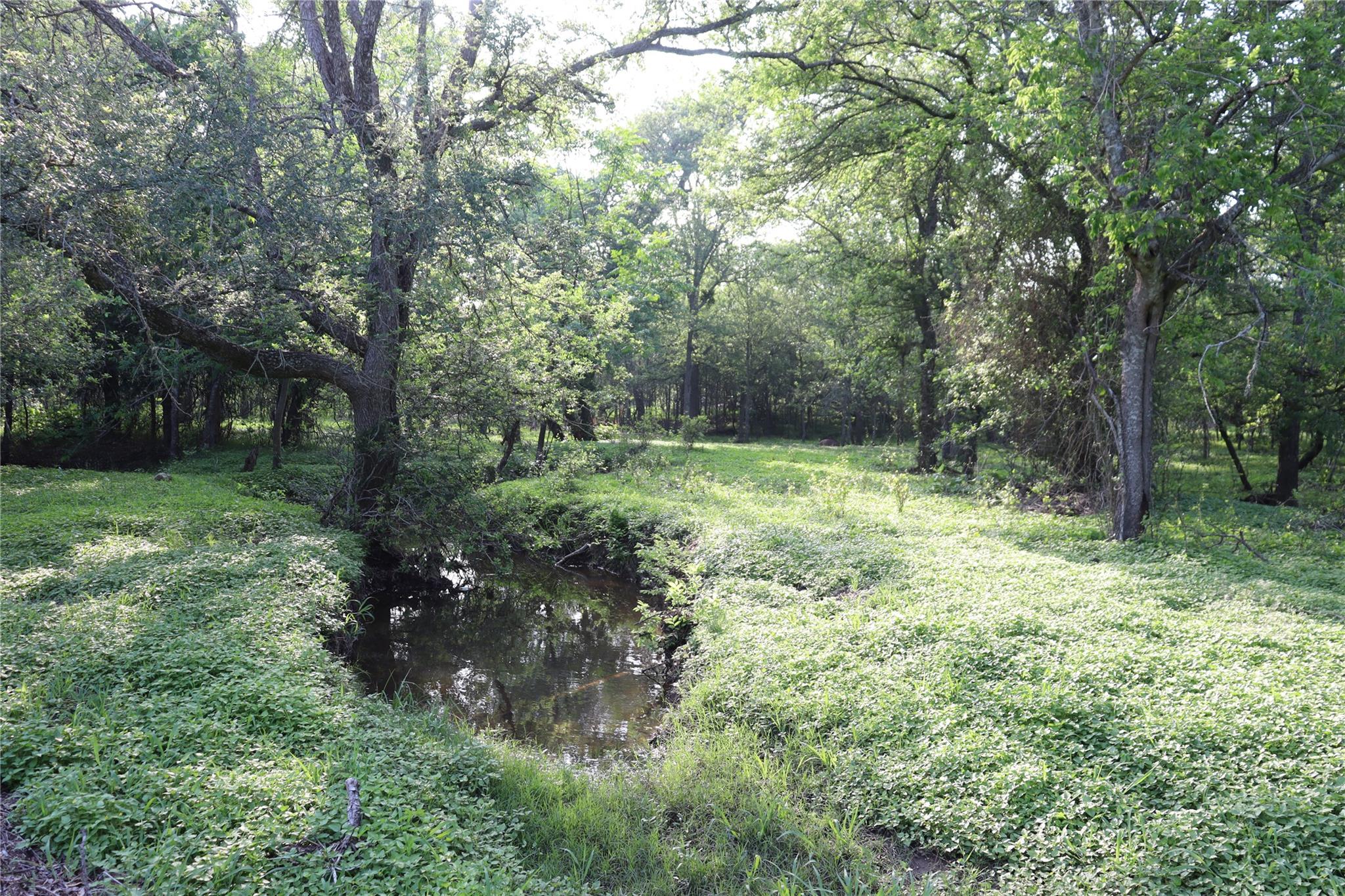 320 Hillcrest Ln, Dale, TX 78616