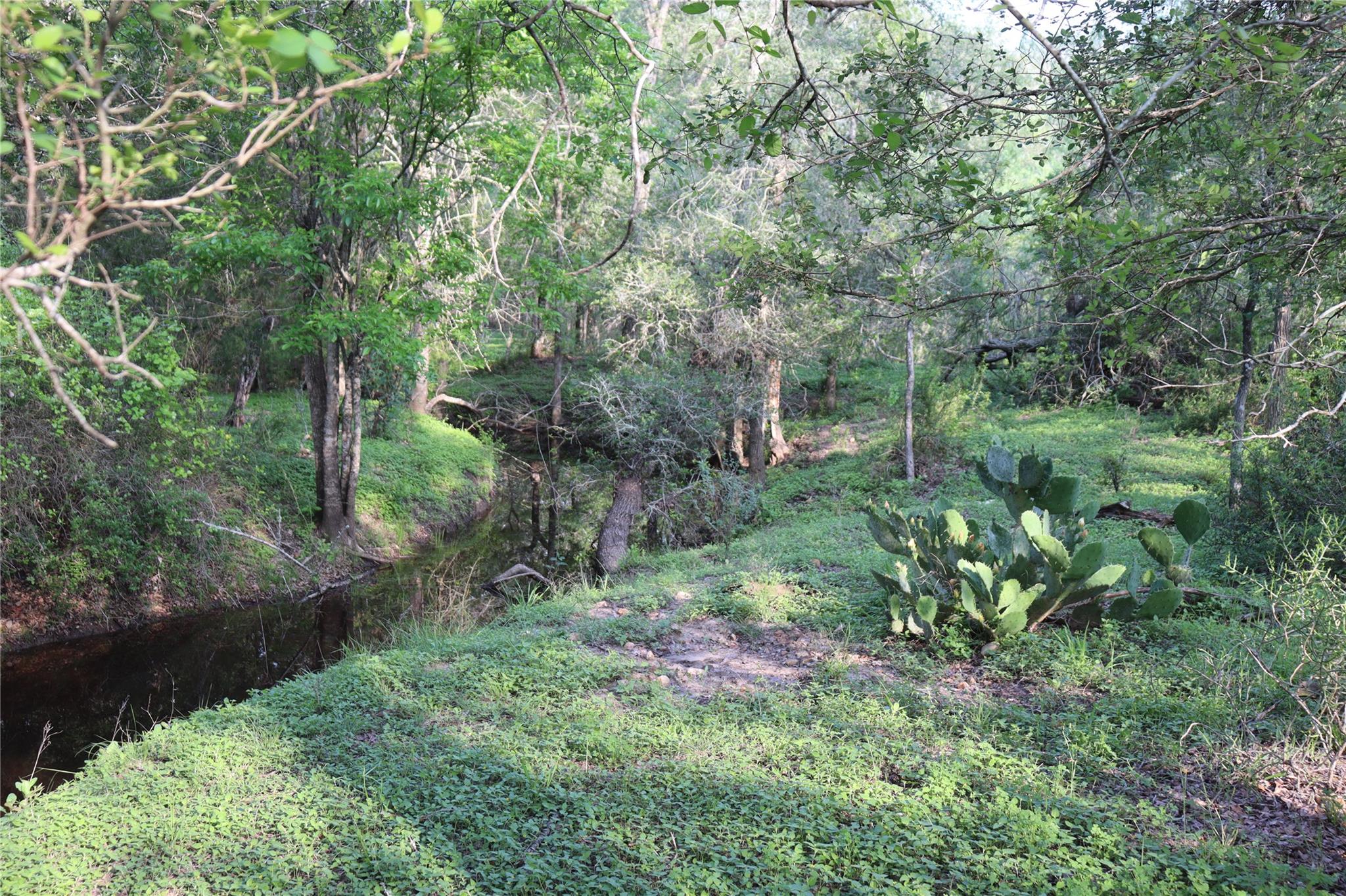 320 Hillcrest Ln, Dale, TX 78616