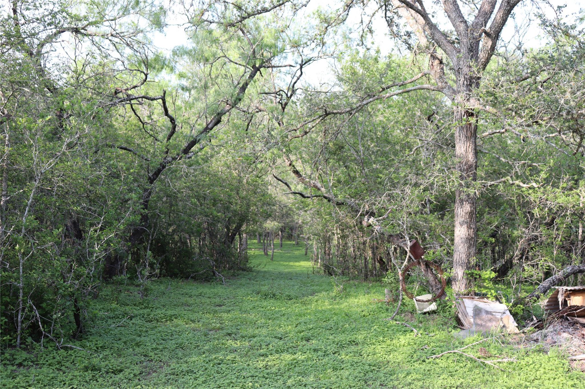 320 Hillcrest Ln, Dale, TX 78616