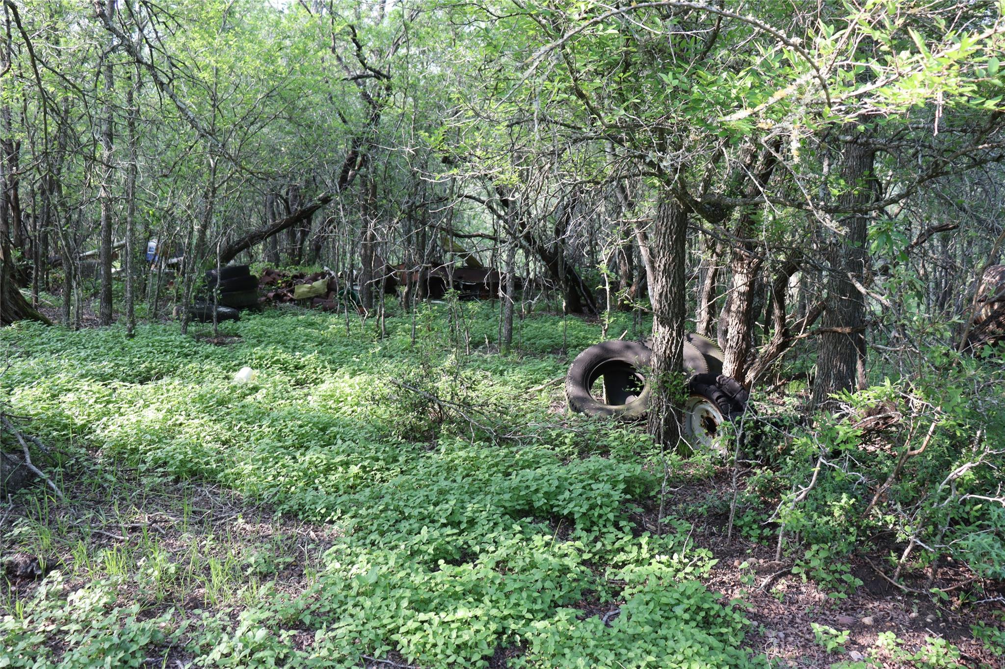320 Hillcrest Ln, Dale, TX 78616