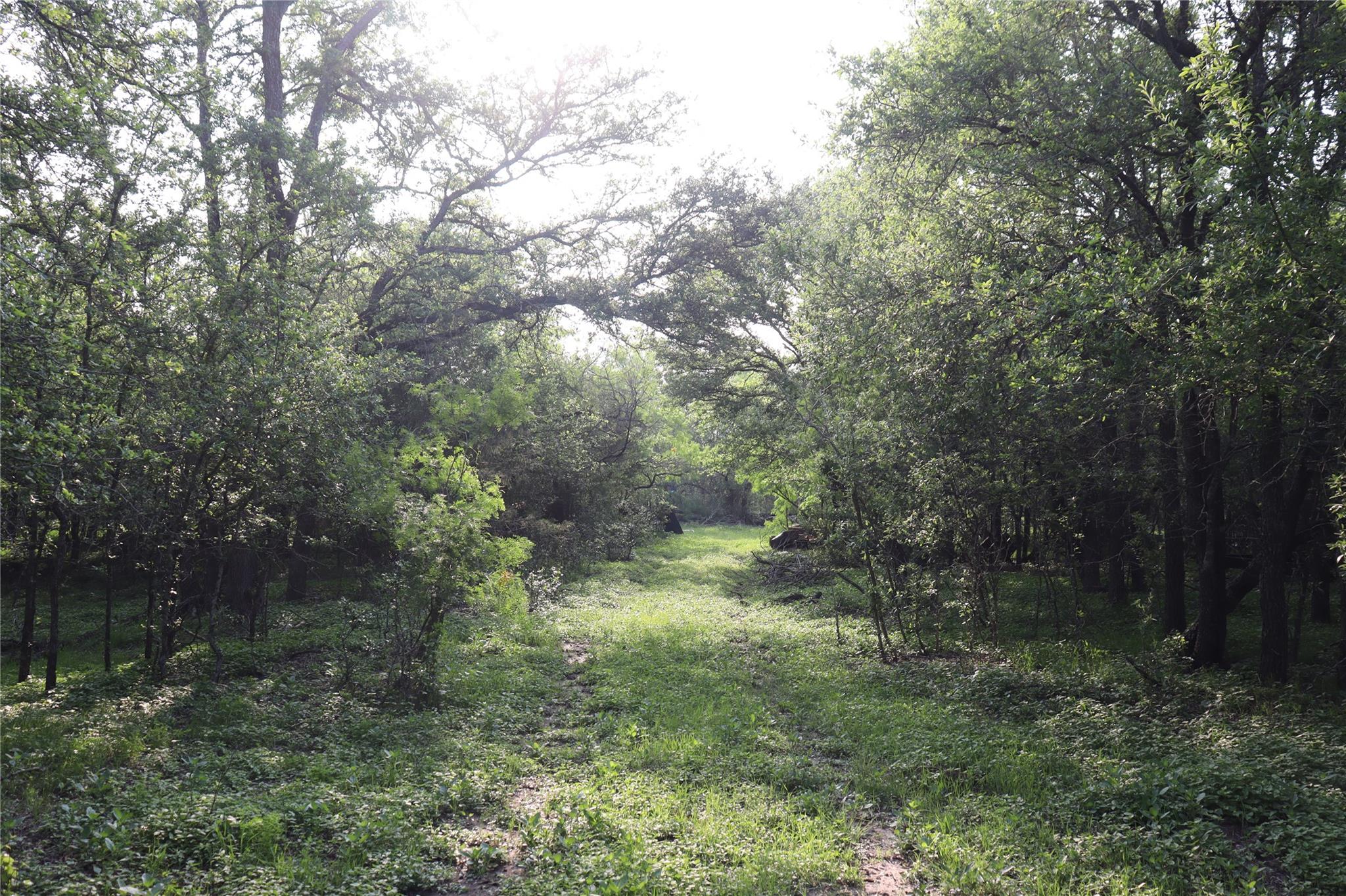 320 Hillcrest Ln, Dale, TX 78616
