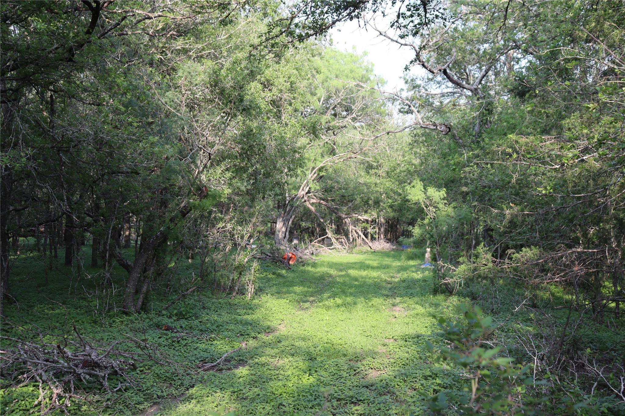 320 Hillcrest Ln, Dale, TX 78616