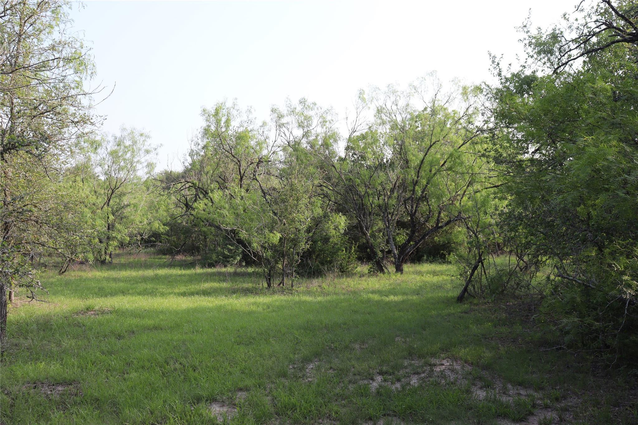 320 Hillcrest Ln, Dale, TX 78616