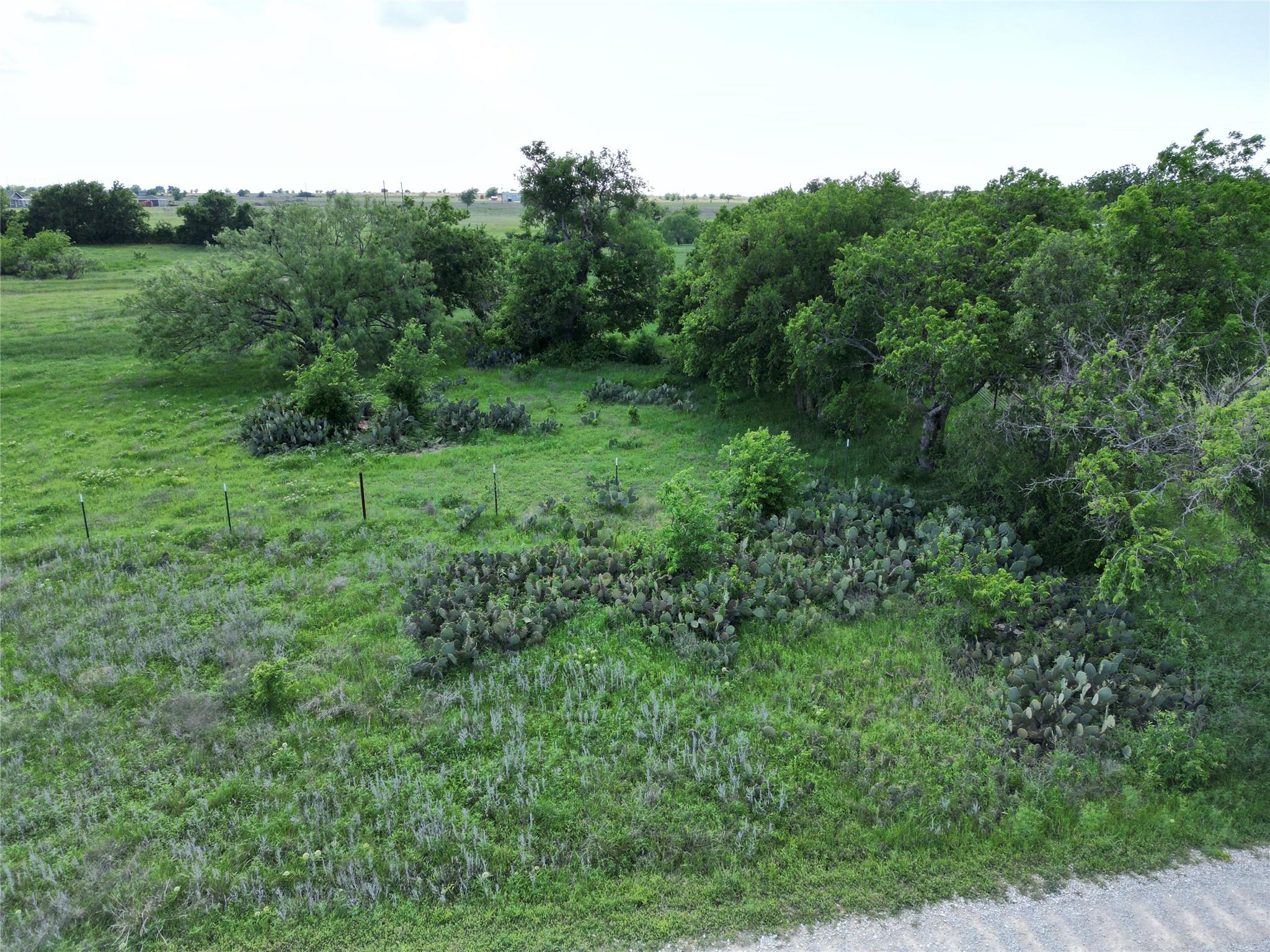 Lot 16 Titus Ln, Bertram, TX 78605