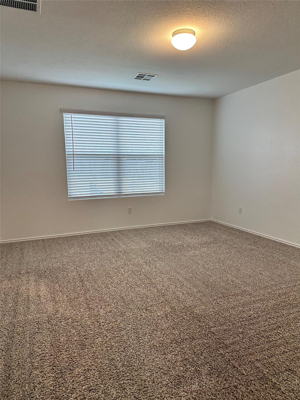 104 Wind Flower Ln, Liberty Hill, TX 78642