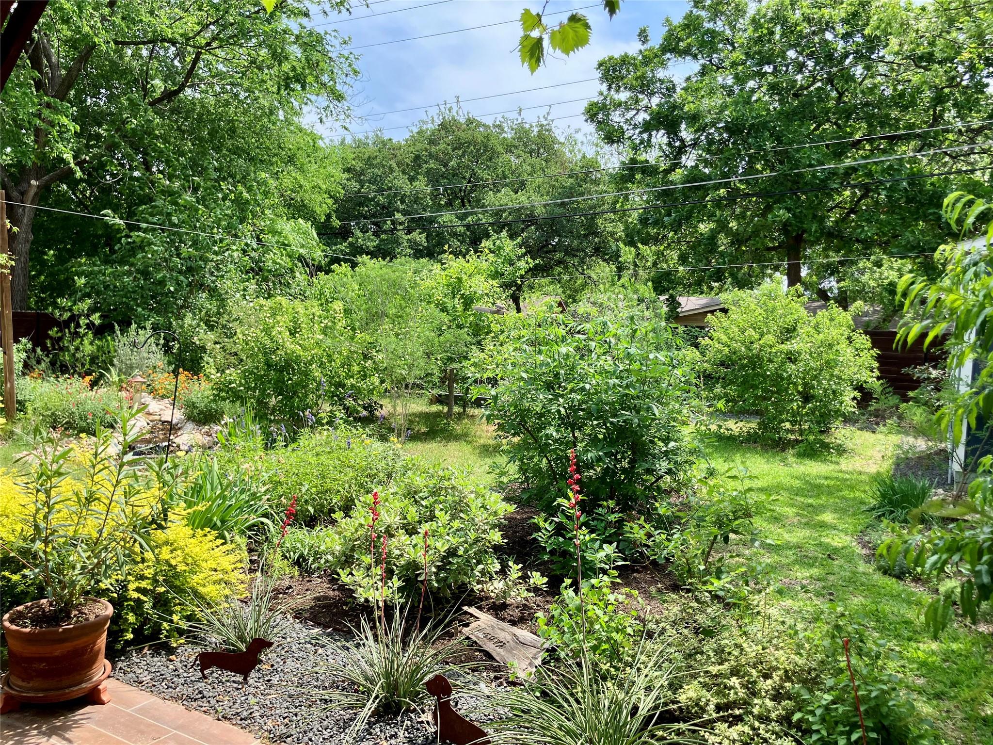 6809 Duquesne Dr, Austin, TX 78723