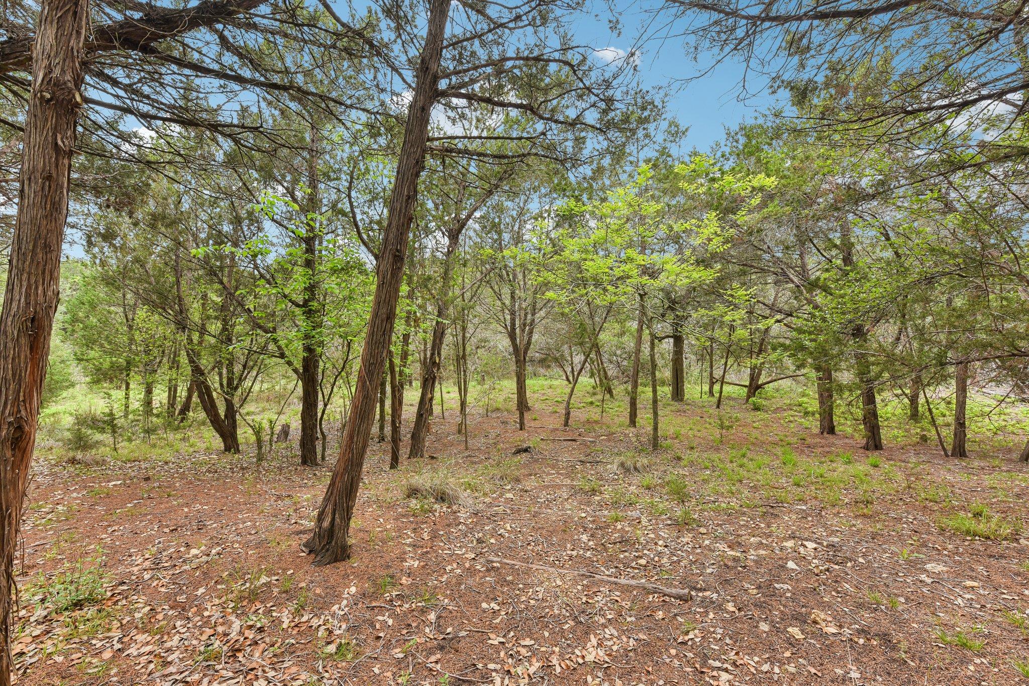 9004 Tara Ln, Austin, TX 78737