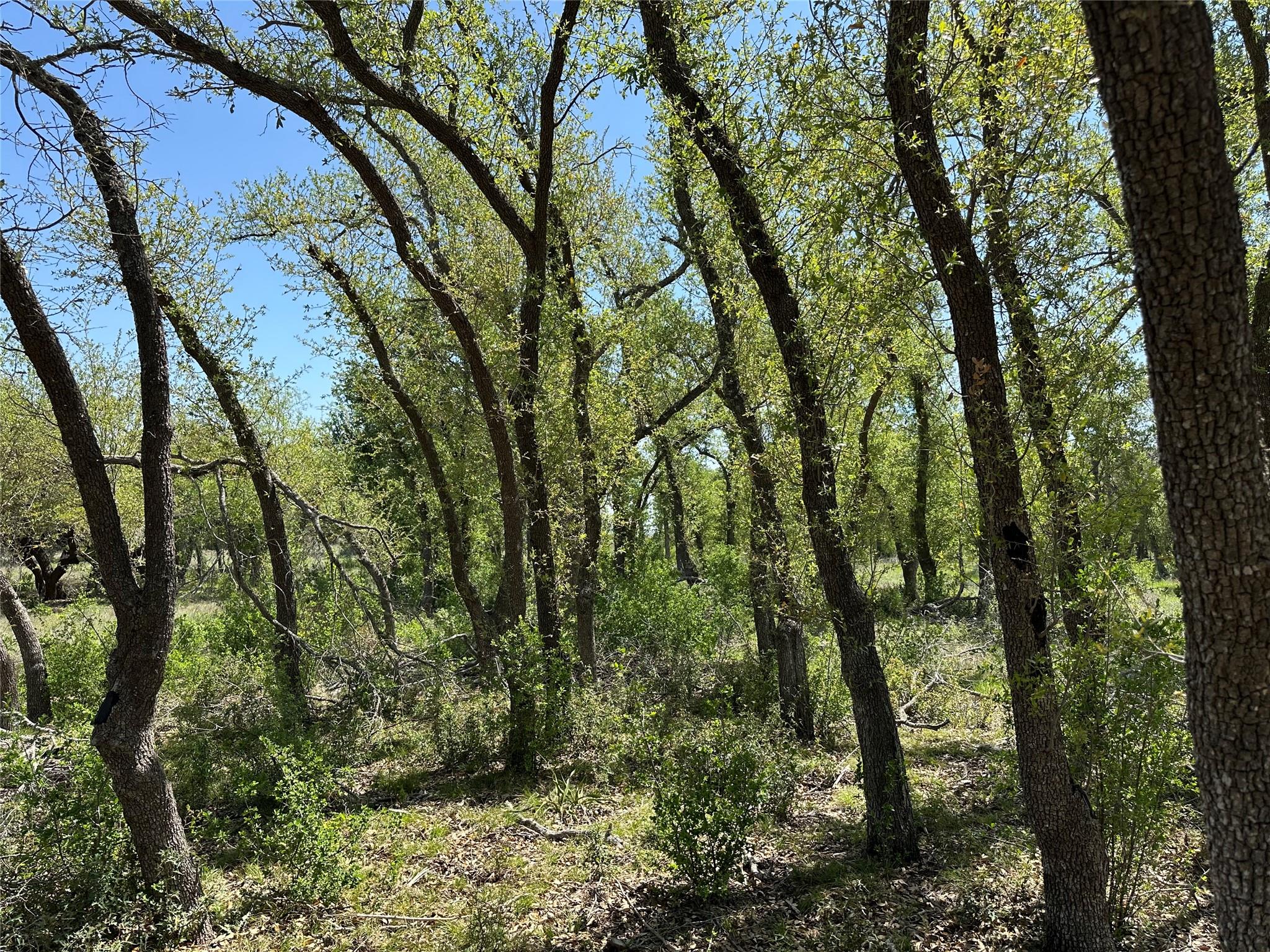 Lot 106 E Flying Owl Dr, Johnson City, TX 78636