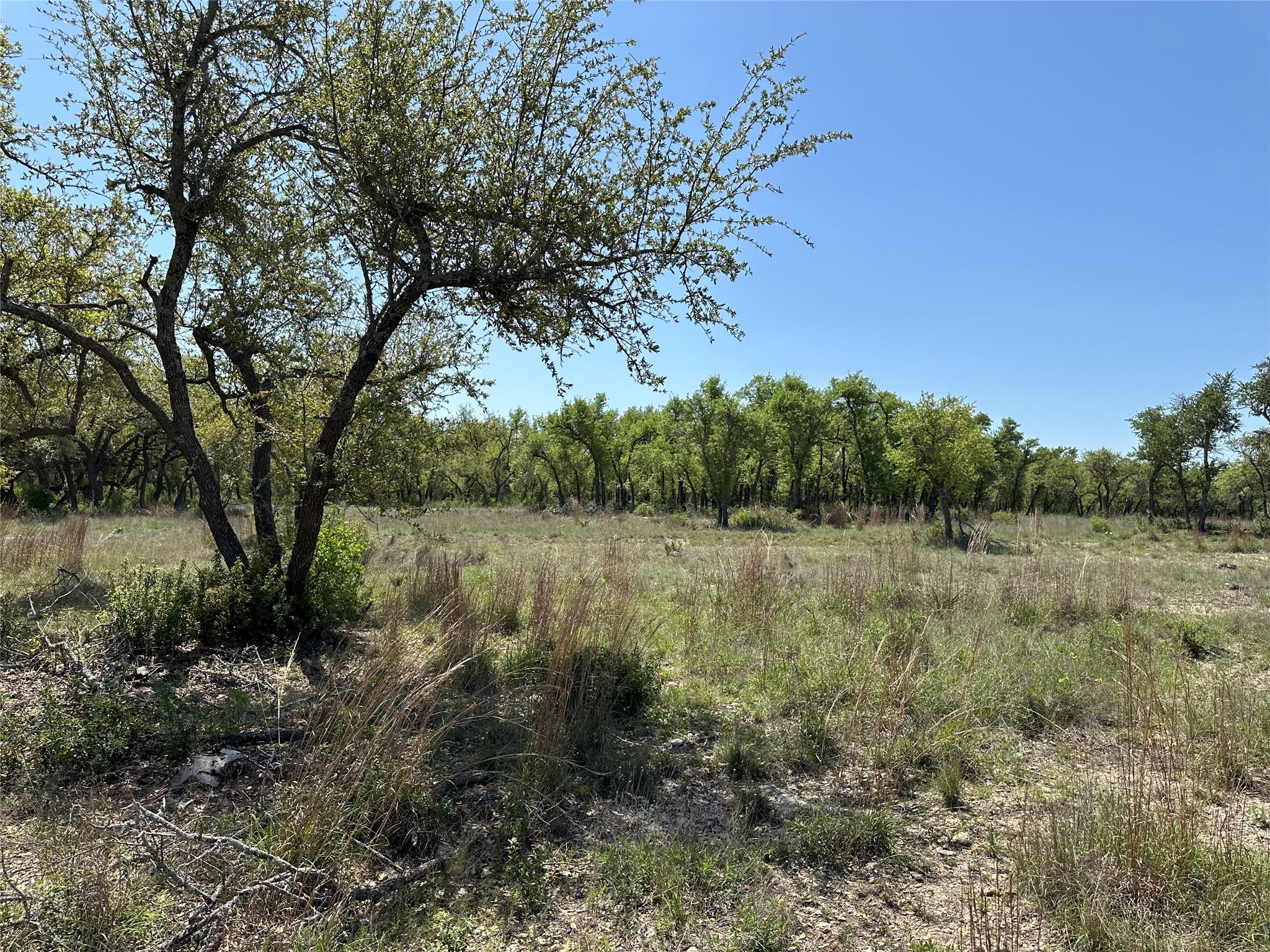 Lot 106 E Flying Owl Dr, Johnson City, TX 78636