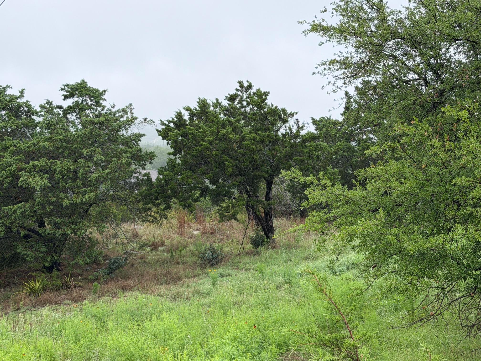 17408 Lake Wood Cir, Dripping Springs, TX 78620