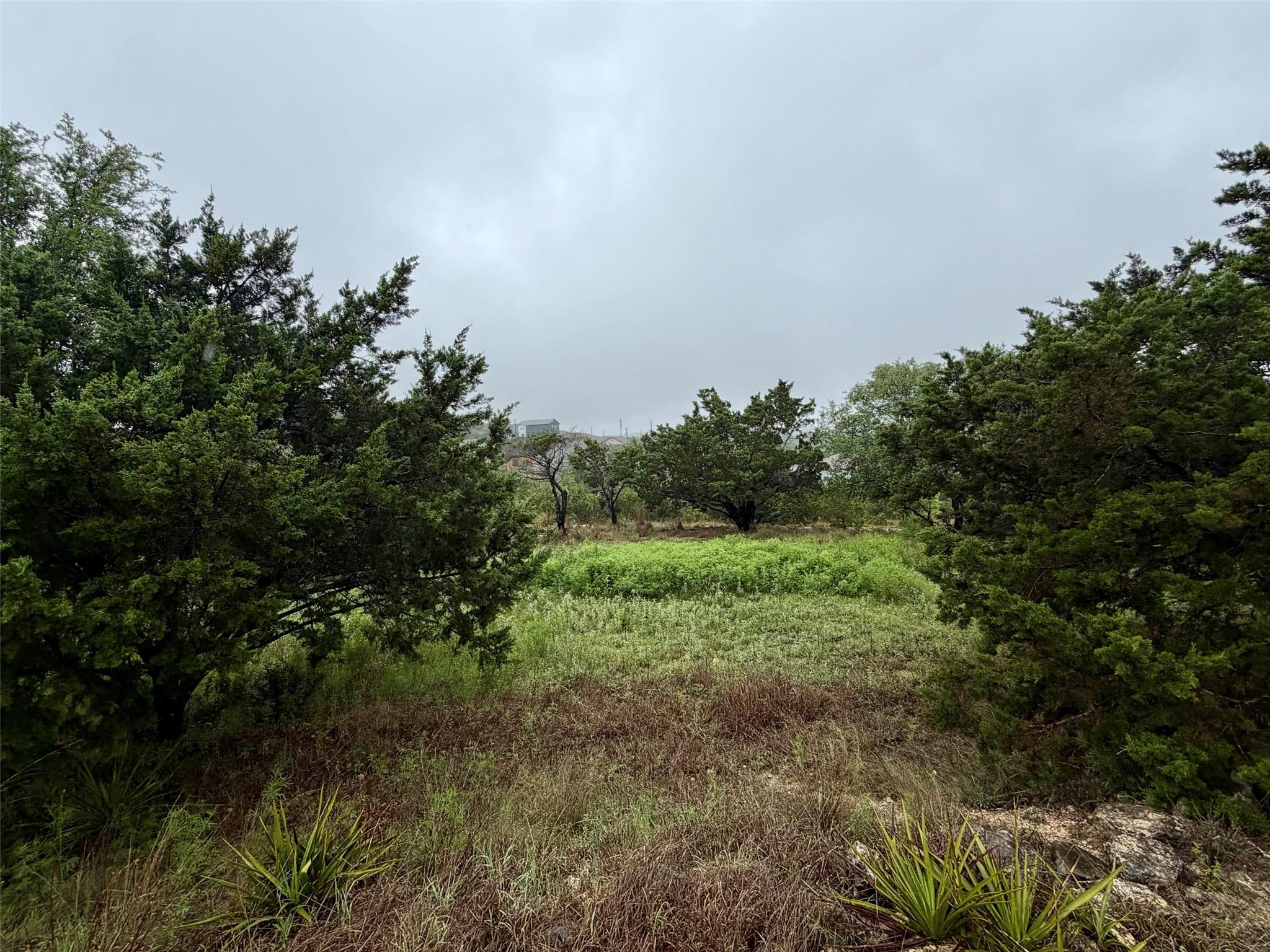 17408 Lake Wood Cir, Dripping Springs, TX 78620