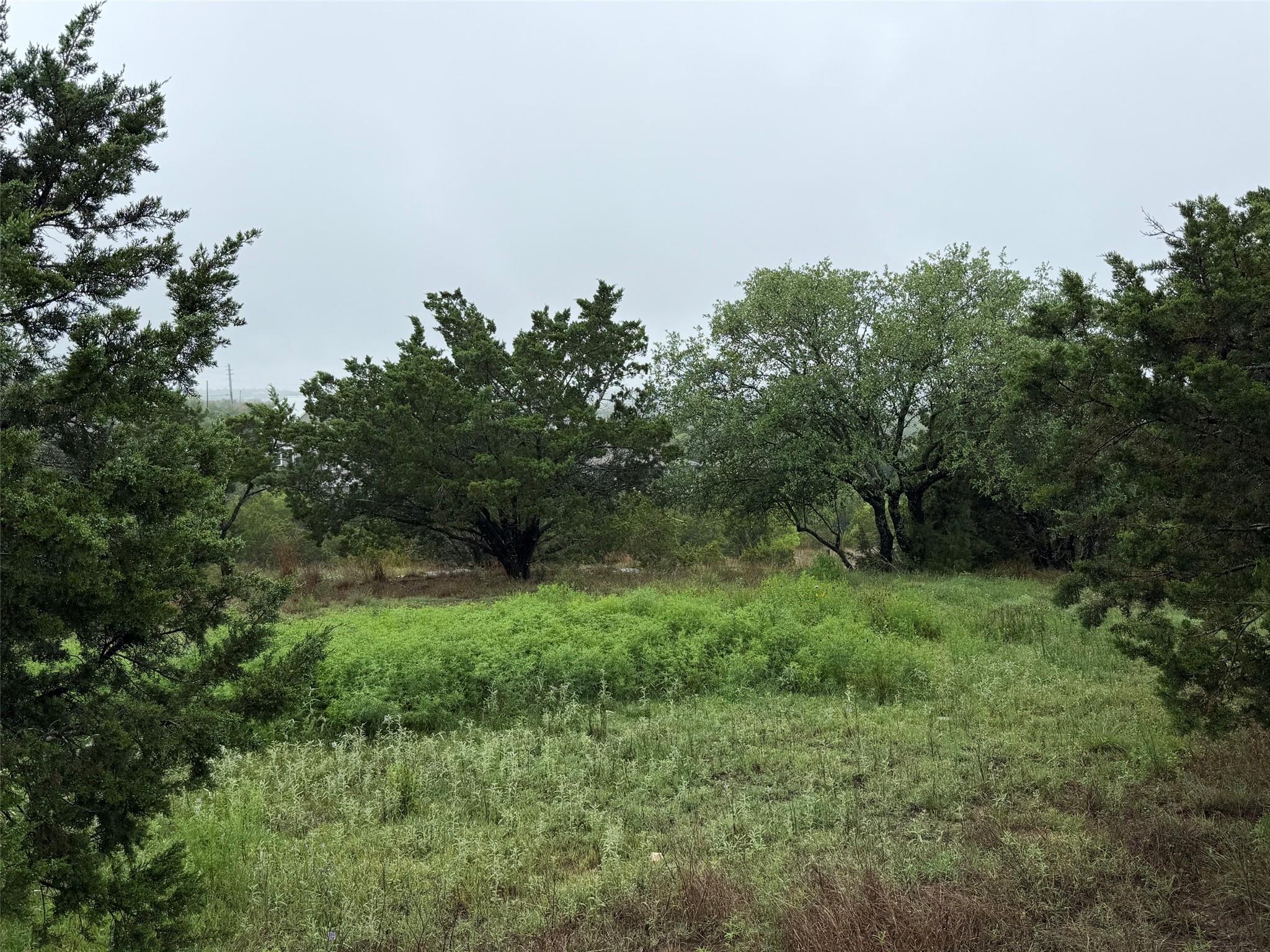 17408 Lake Wood Cir, Dripping Springs, TX 78620
