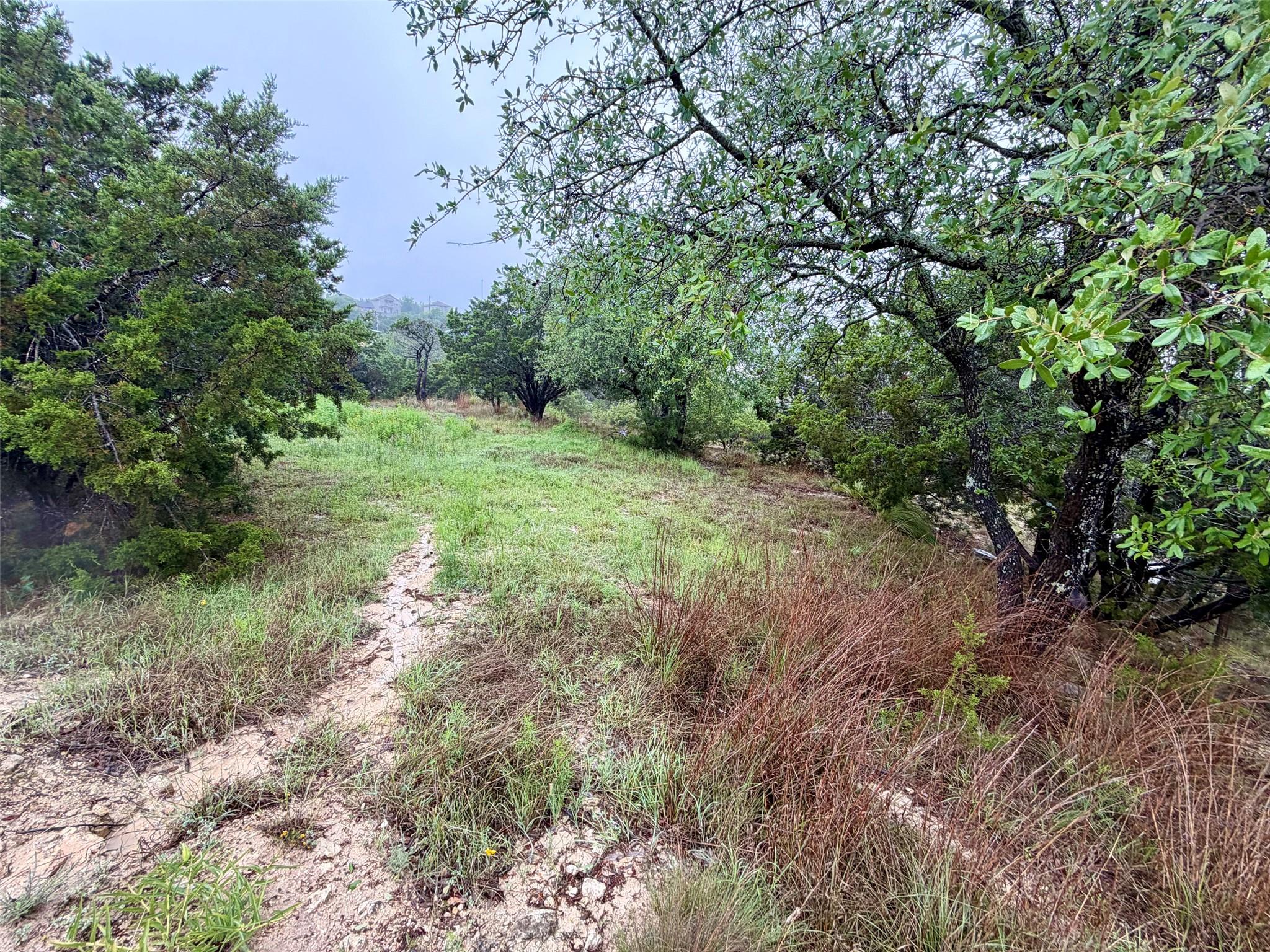 17408 Lake Wood Cir, Dripping Springs, TX 78620