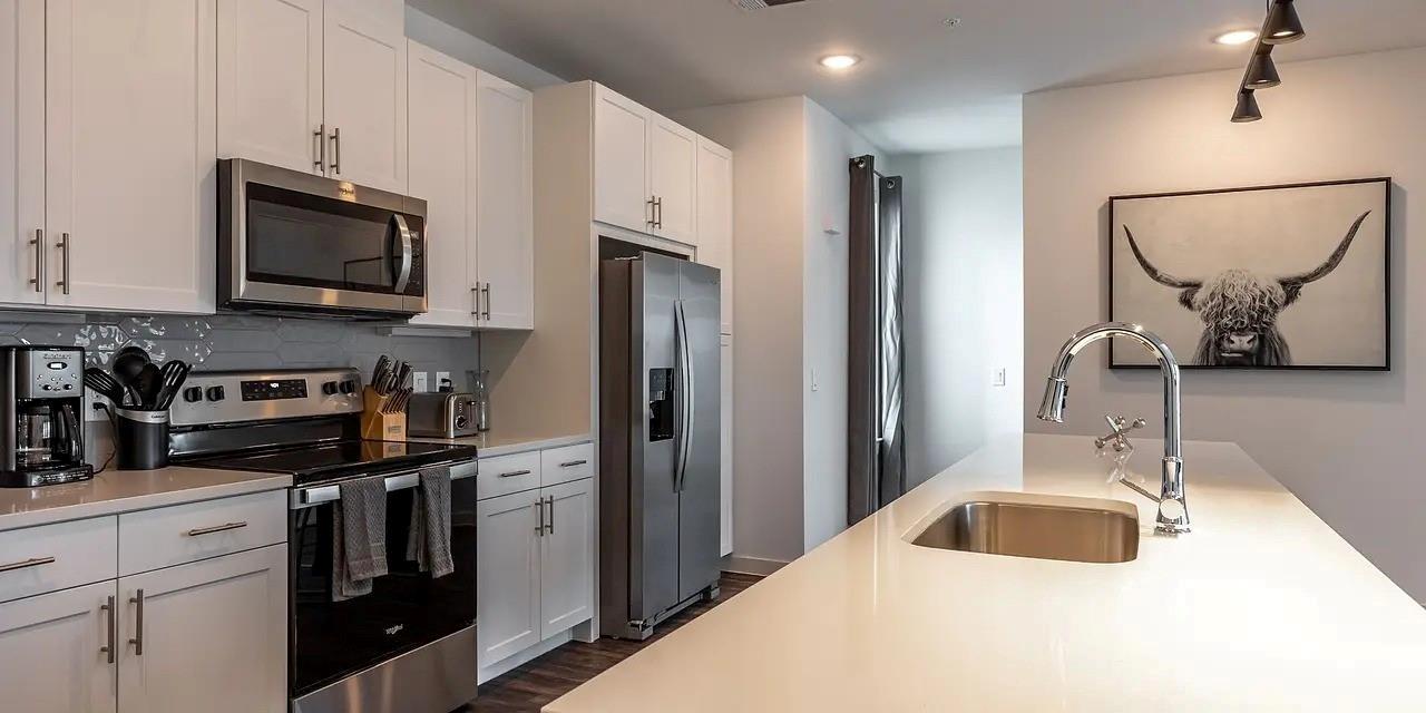 1000 Fort Worth Ave # 2515, Dallas, TX 75208