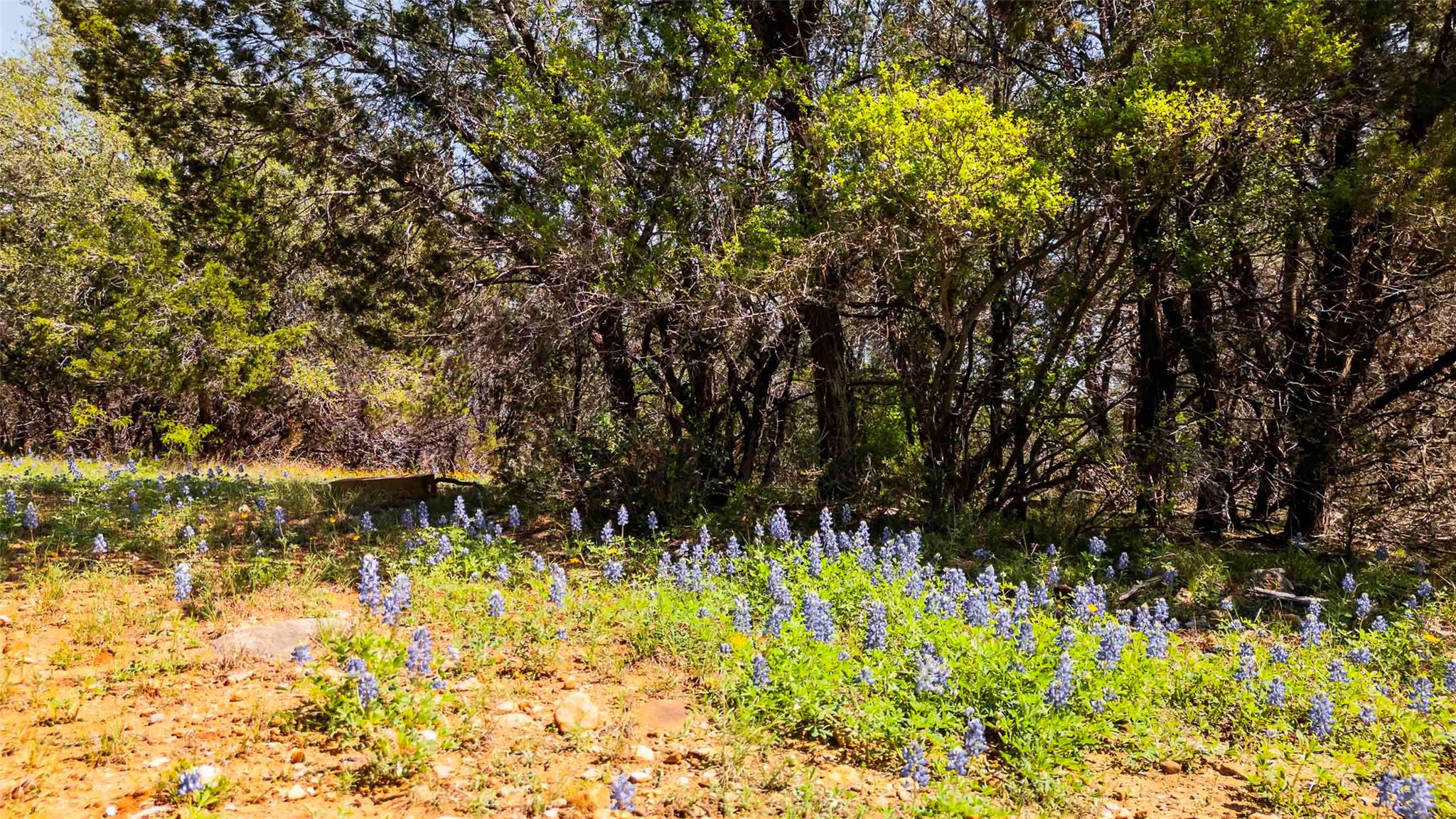 551 Lake View Dr, Spicewood, TX 78669