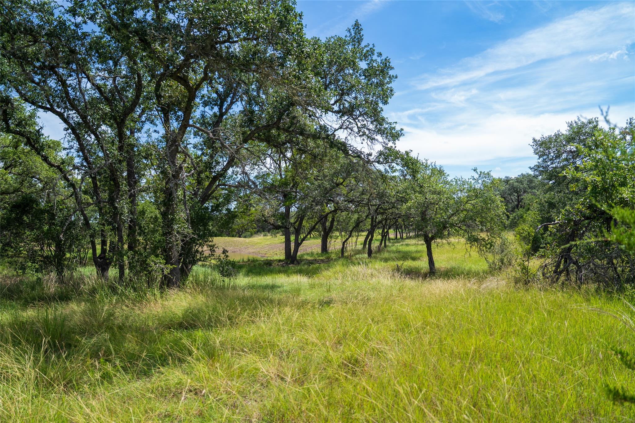 Ranch - 5 Pump Station Rd Rd, Wimberley, TX 78676