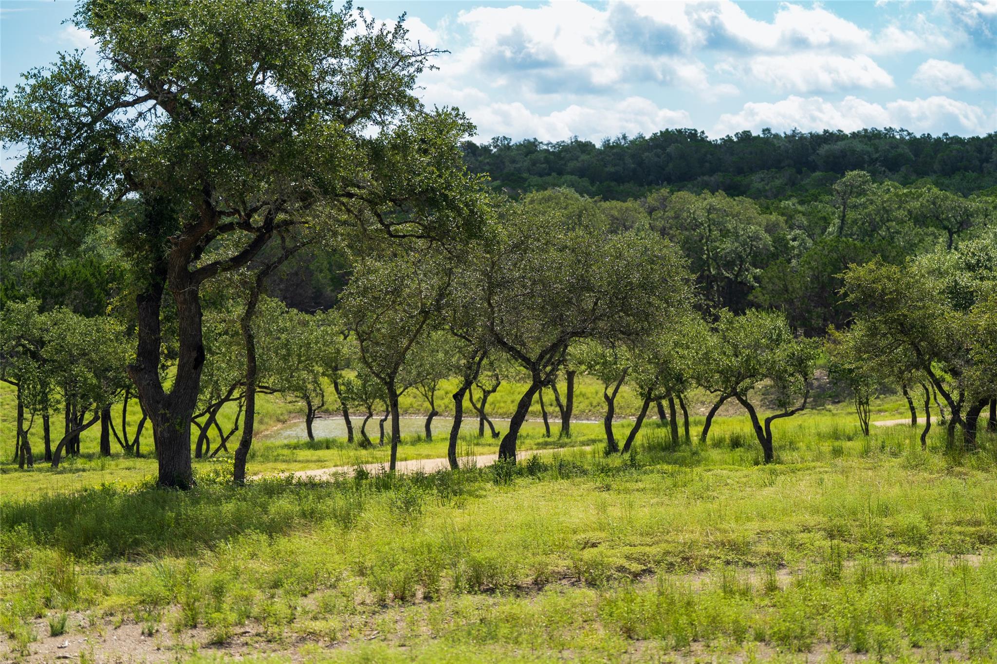 Ranch - 5 Pump Station Rd Rd, Wimberley, TX 78676