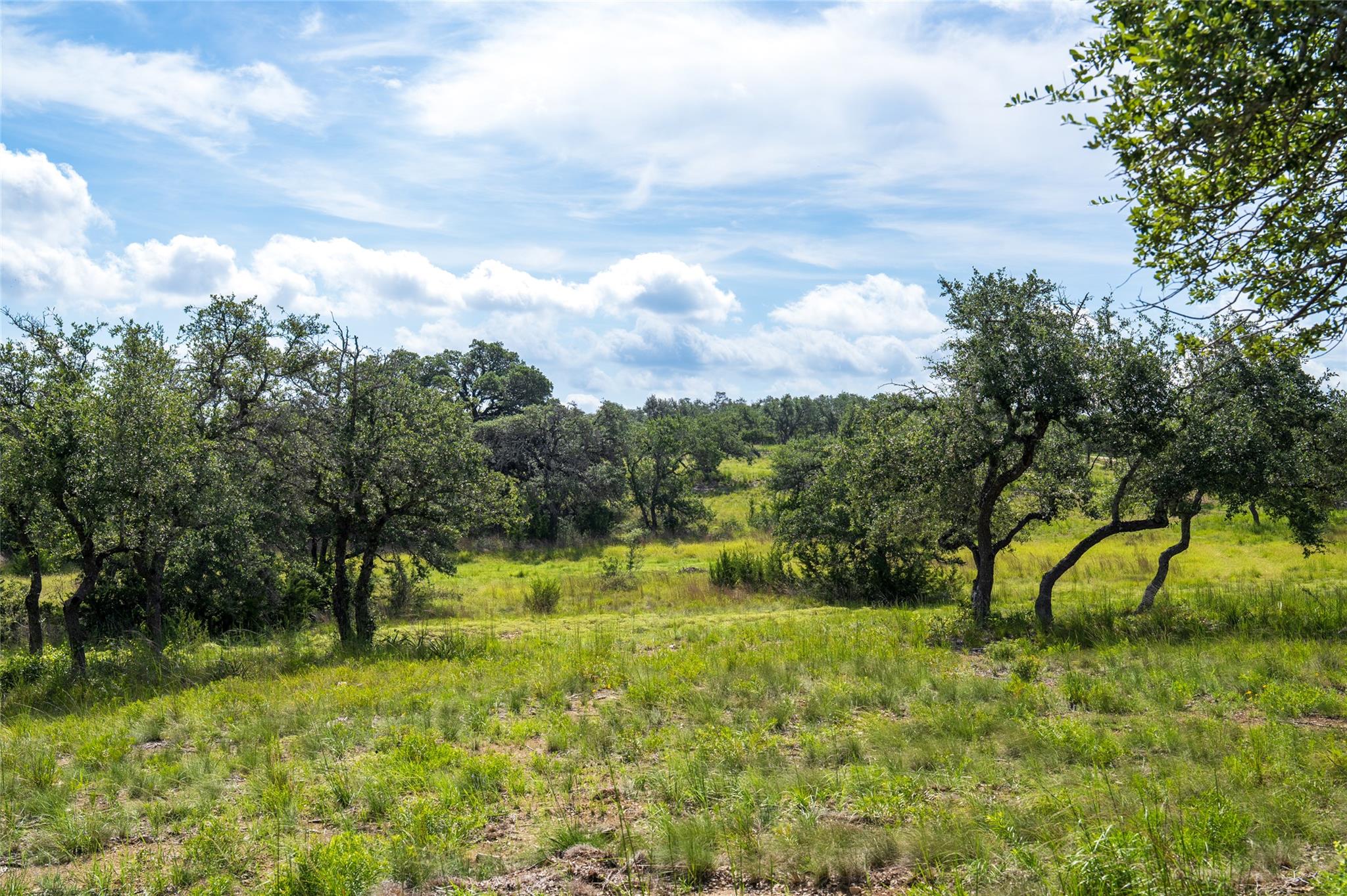 Ranch - 5 Pump Station Rd Rd, Wimberley, TX 78676