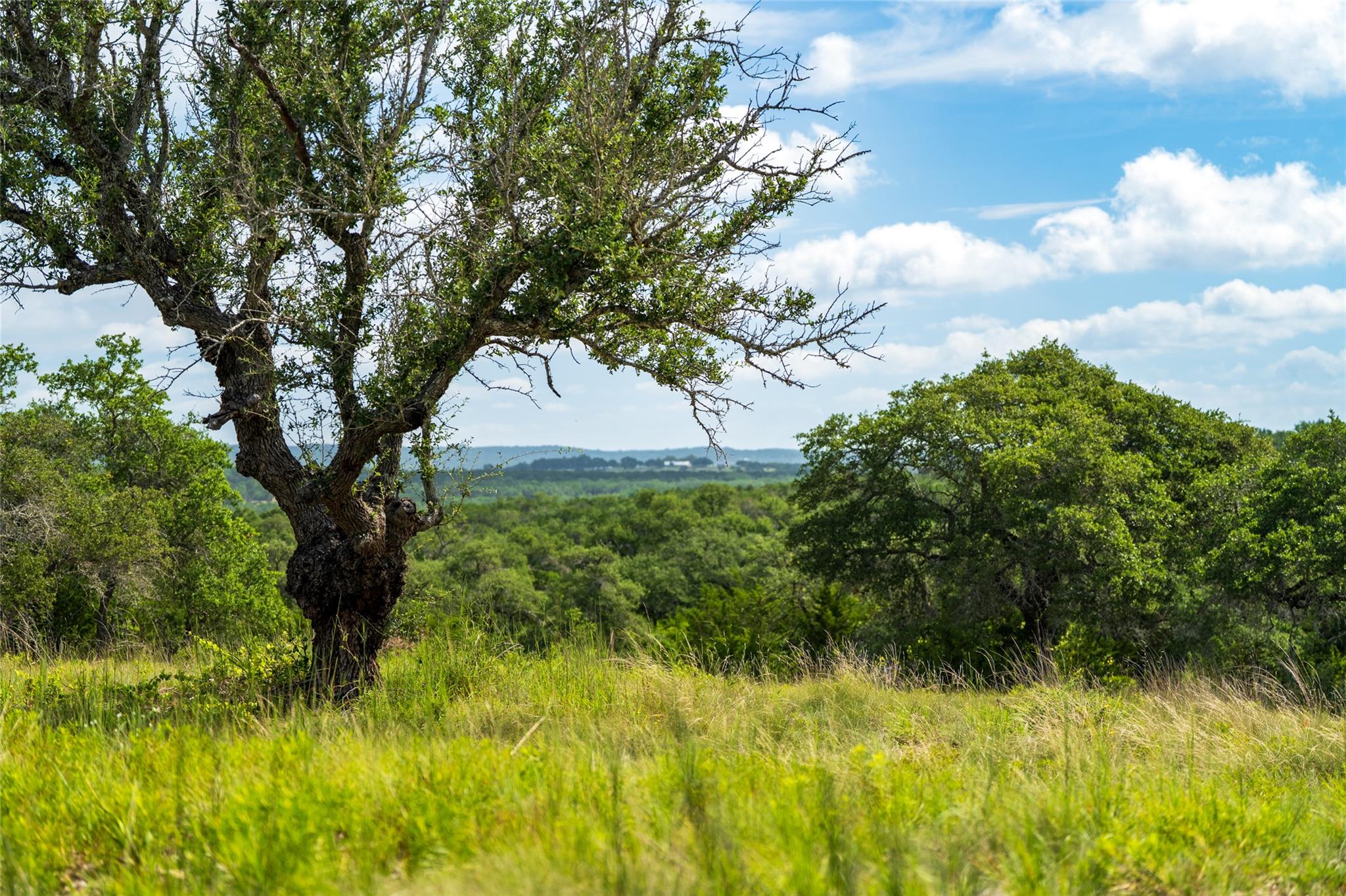 Ranch - 5 Pump Station Rd Rd, Wimberley, TX 78676