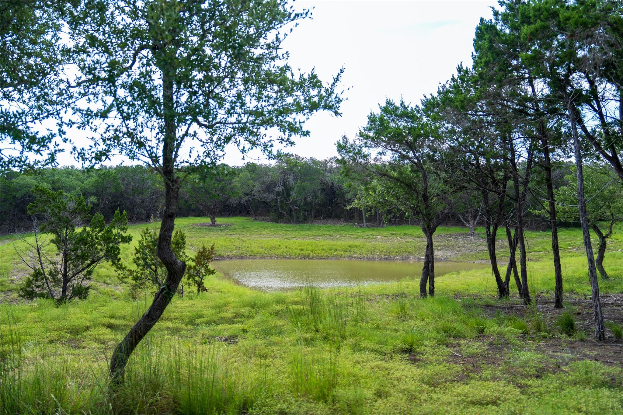 Ranch - 5 Pump Station Rd Rd, Wimberley, TX 78676