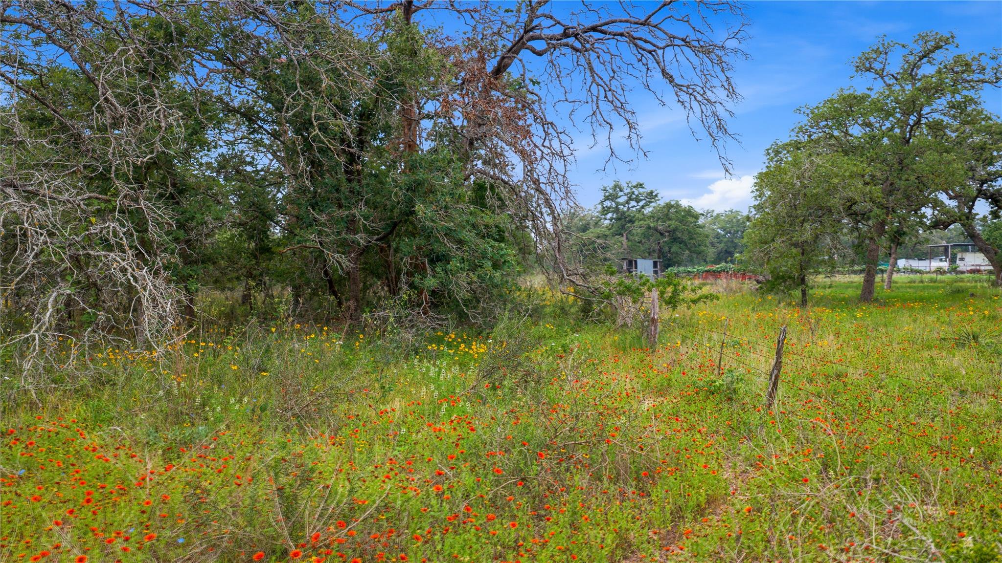 205 Sendera Xing, La Vernia, TX 78121