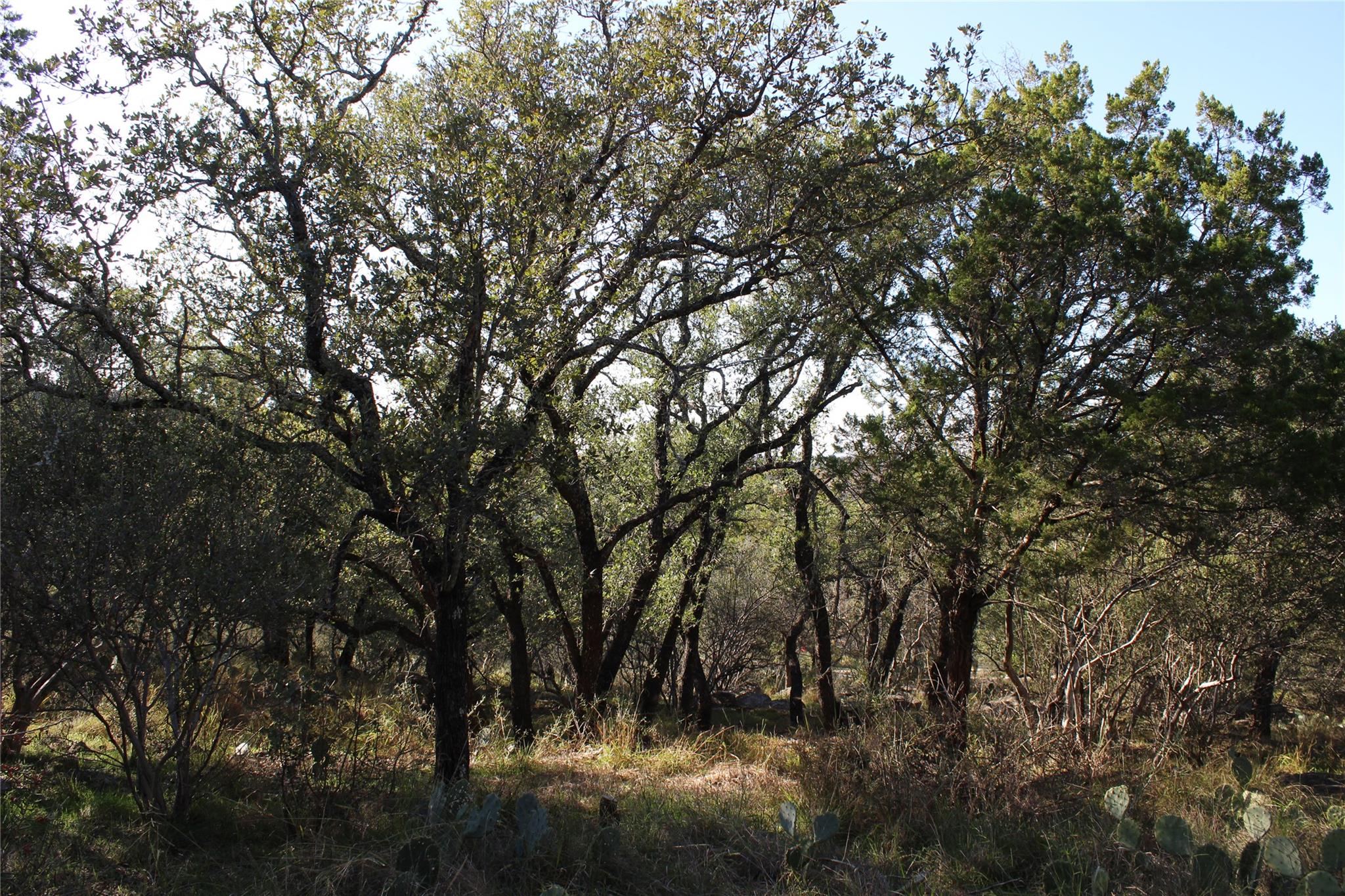 505 Saddle Horn, Horseshoe Bay, TX 78657