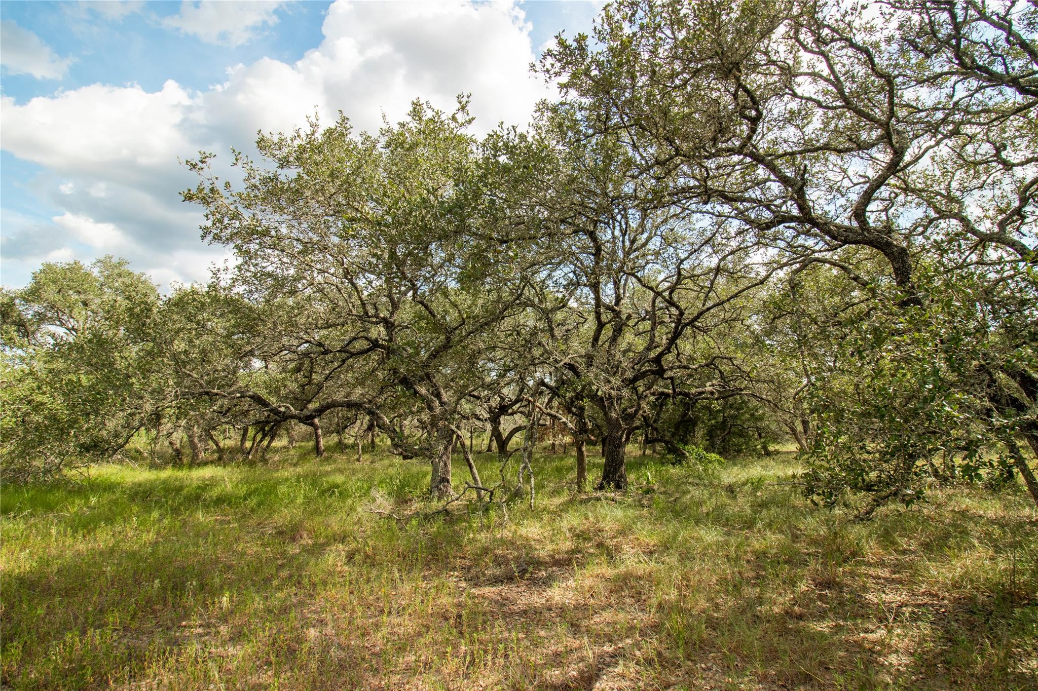 000 County Road 15, Hallettsville, TX 77964