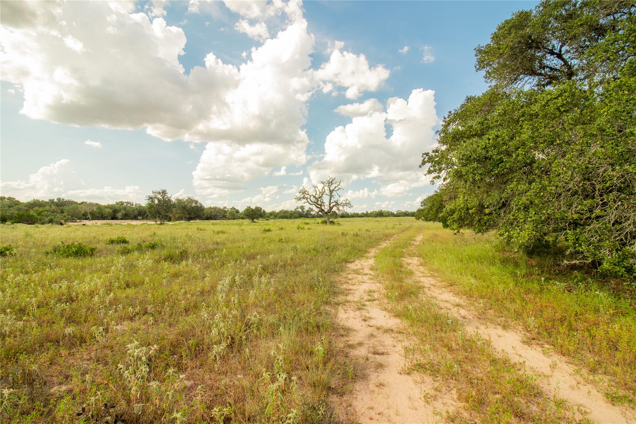 000 County Road 15, Hallettsville, TX 77964