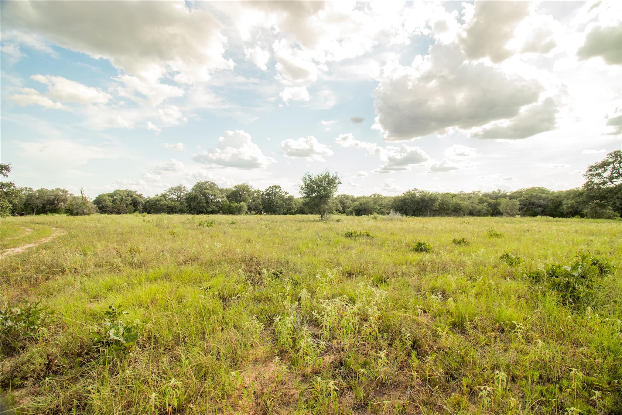 000 County Road 15, Hallettsville, TX 77964