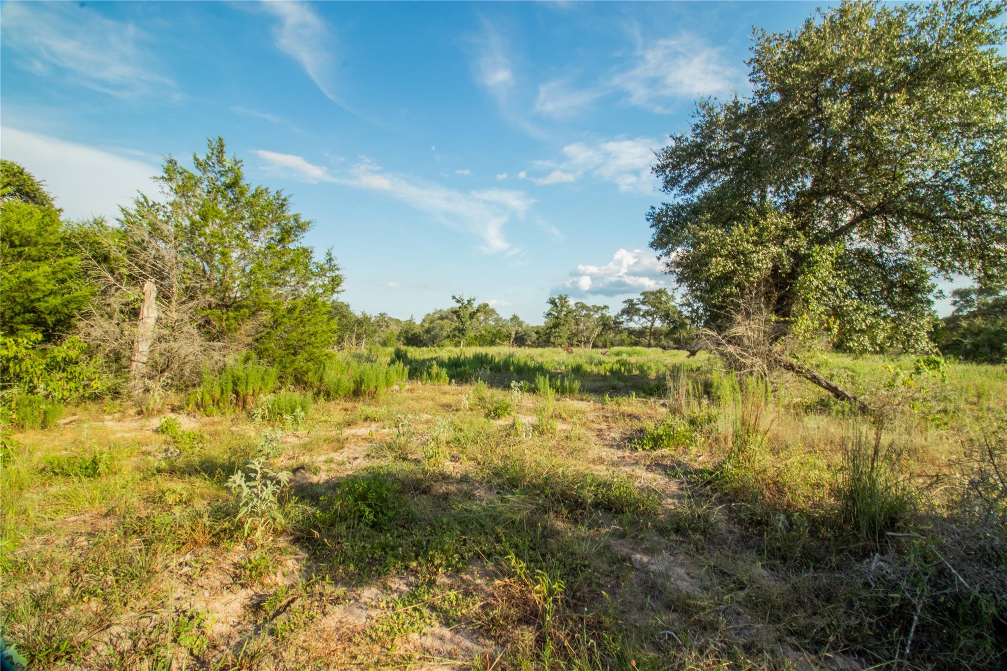 000 County Road 15, Hallettsville, TX 77964