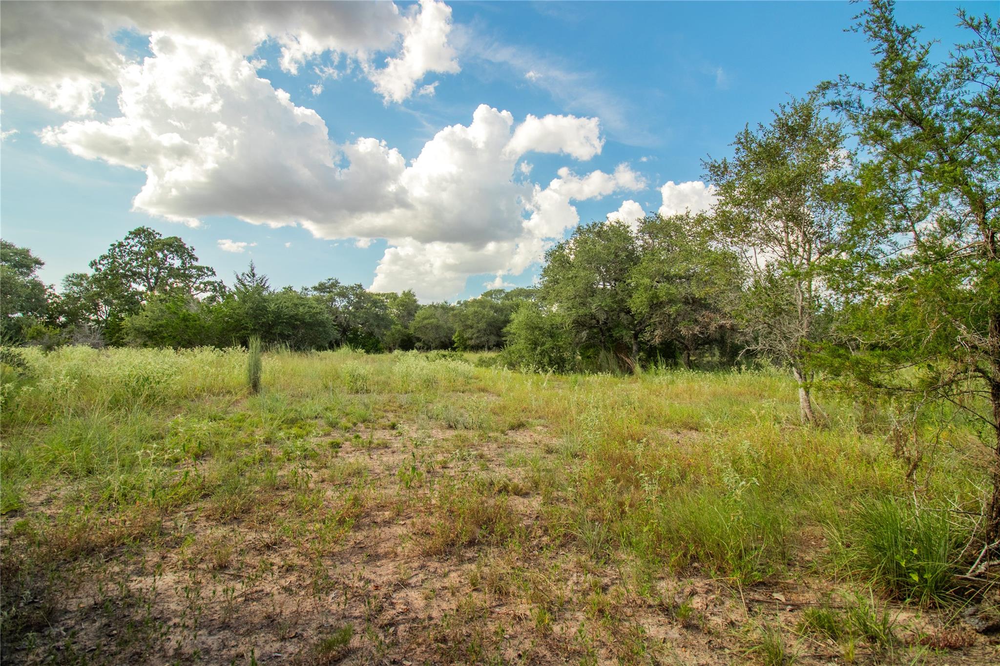 000 County Road 15, Hallettsville, TX 77964