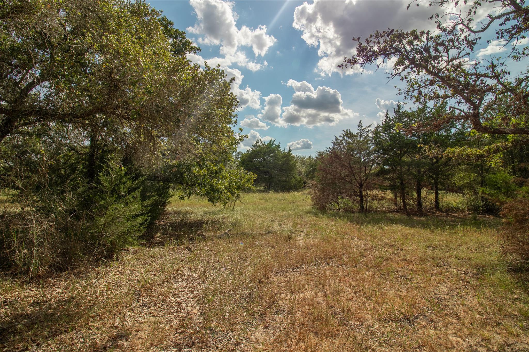 000 County Road 15, Hallettsville, TX 77964