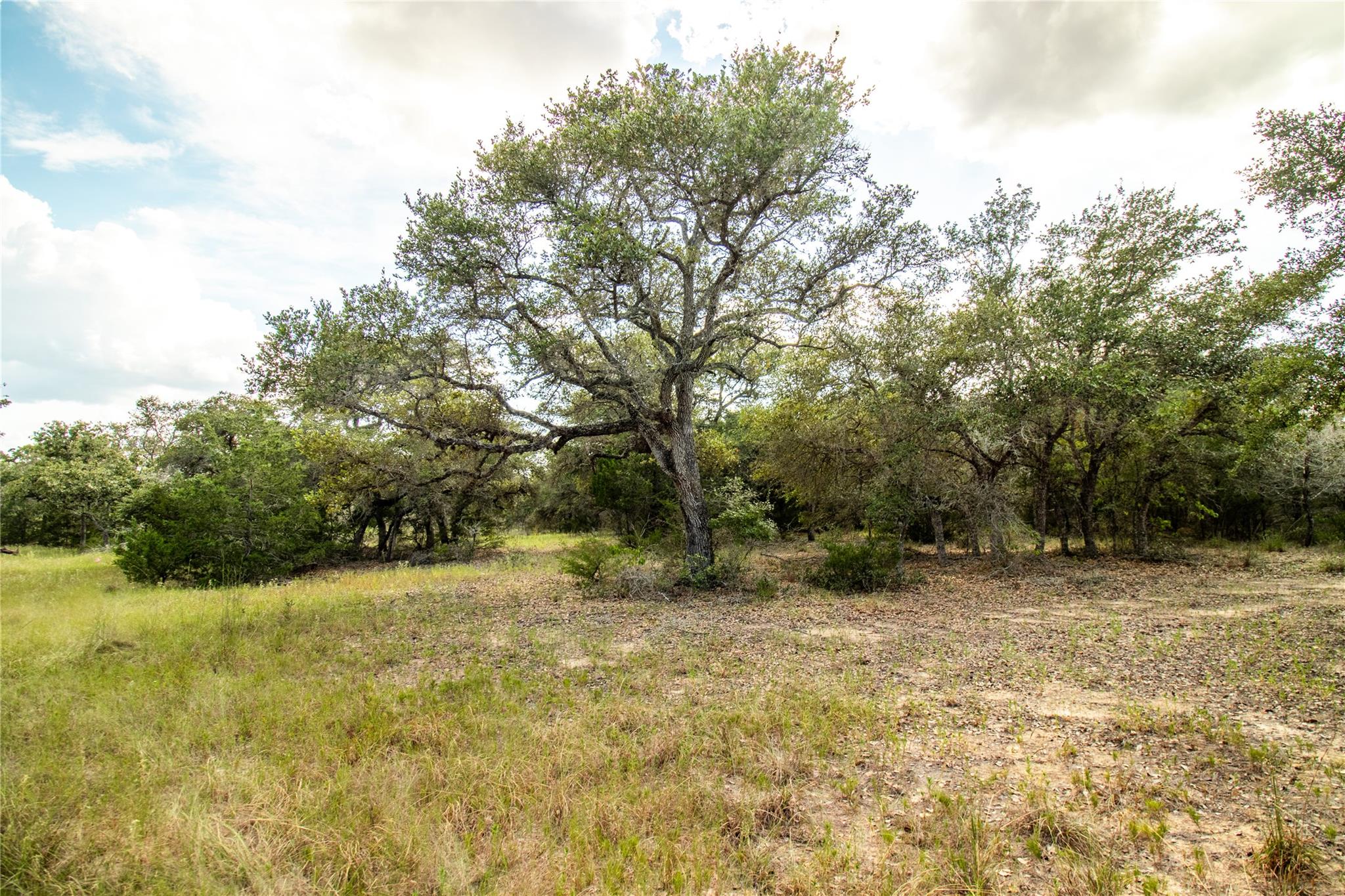000 County Road 15, Hallettsville, TX 77964