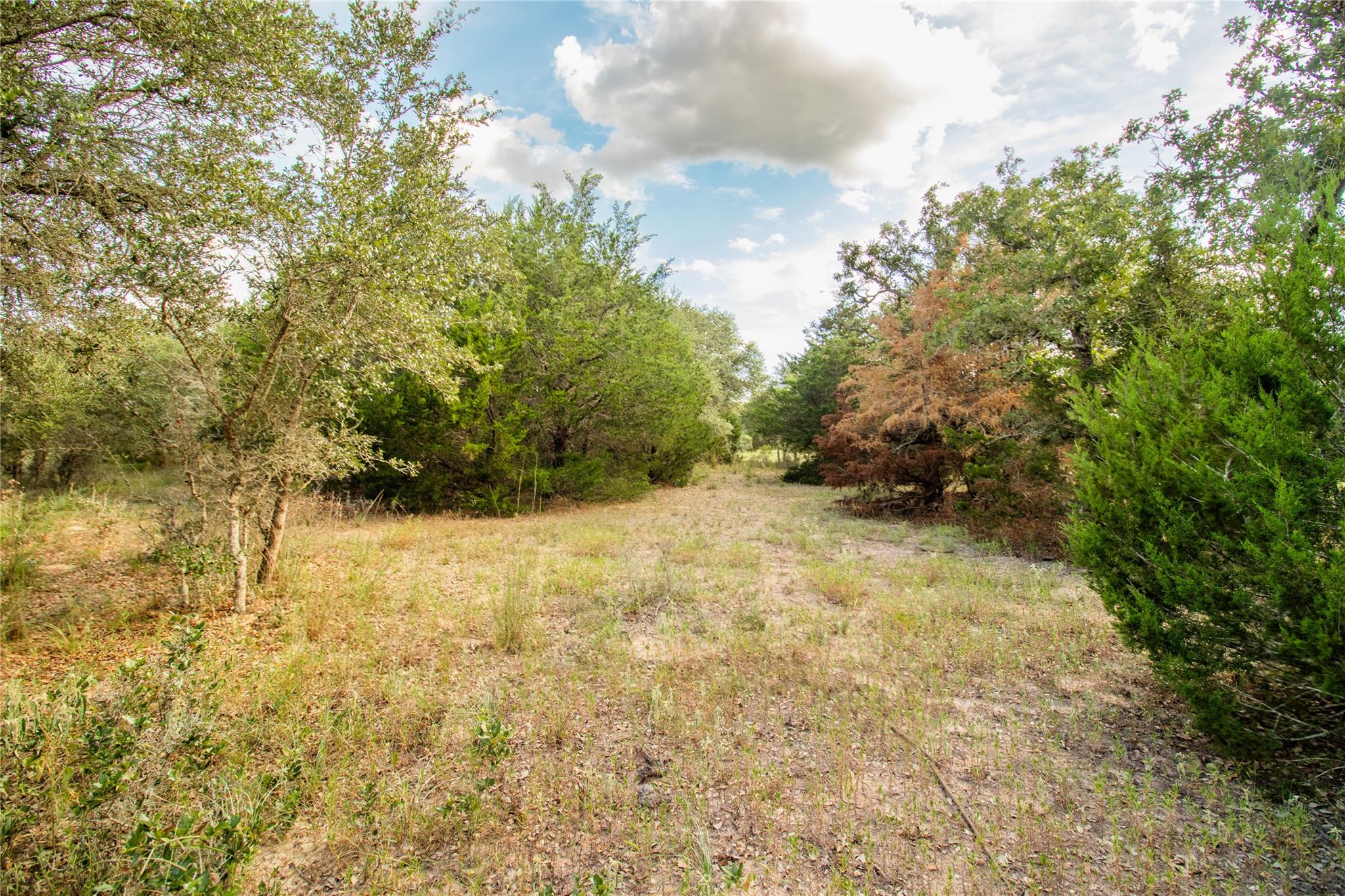 000 County Road 15, Hallettsville, TX 77964