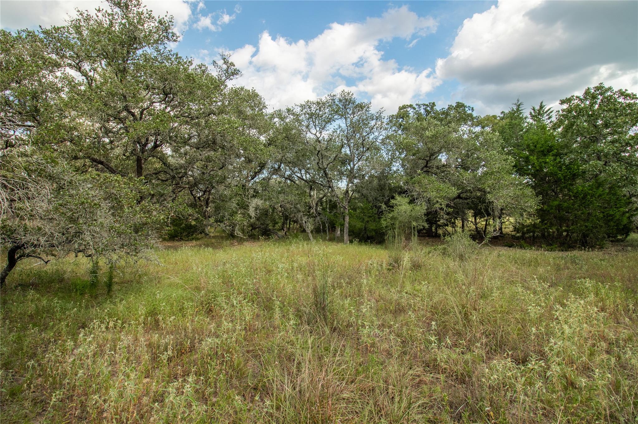000 County Road 15, Hallettsville, TX 77964