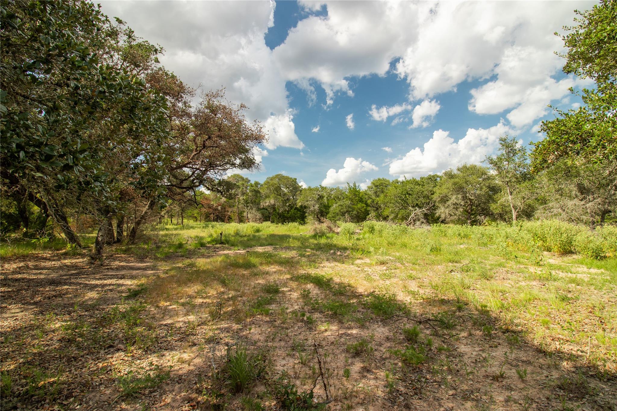 000 County Road 15, Hallettsville, TX 77964