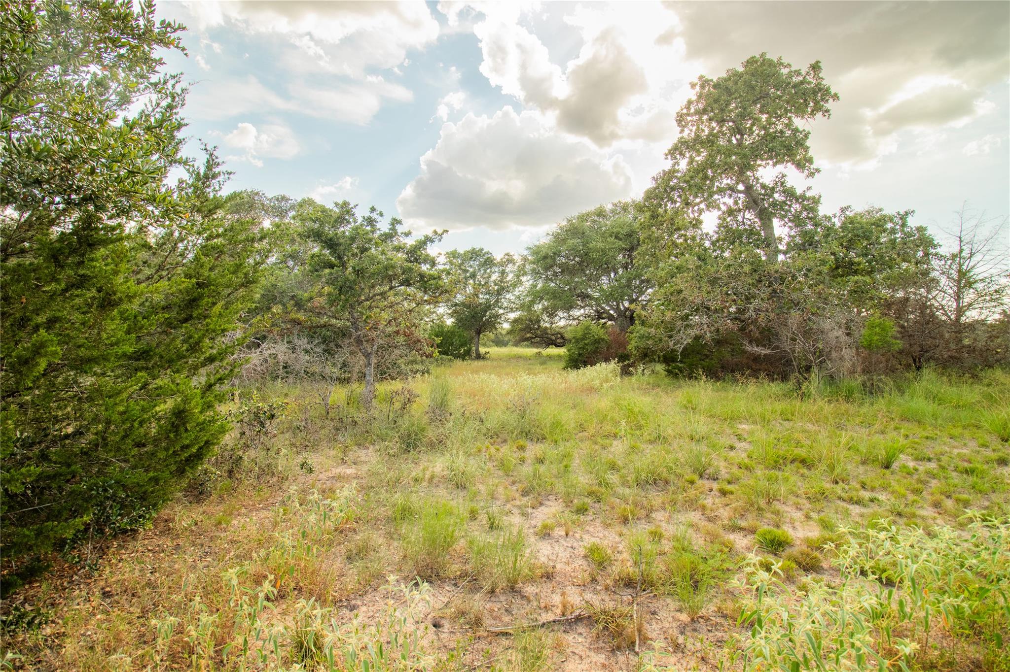 000 County Road 15, Hallettsville, TX 77964