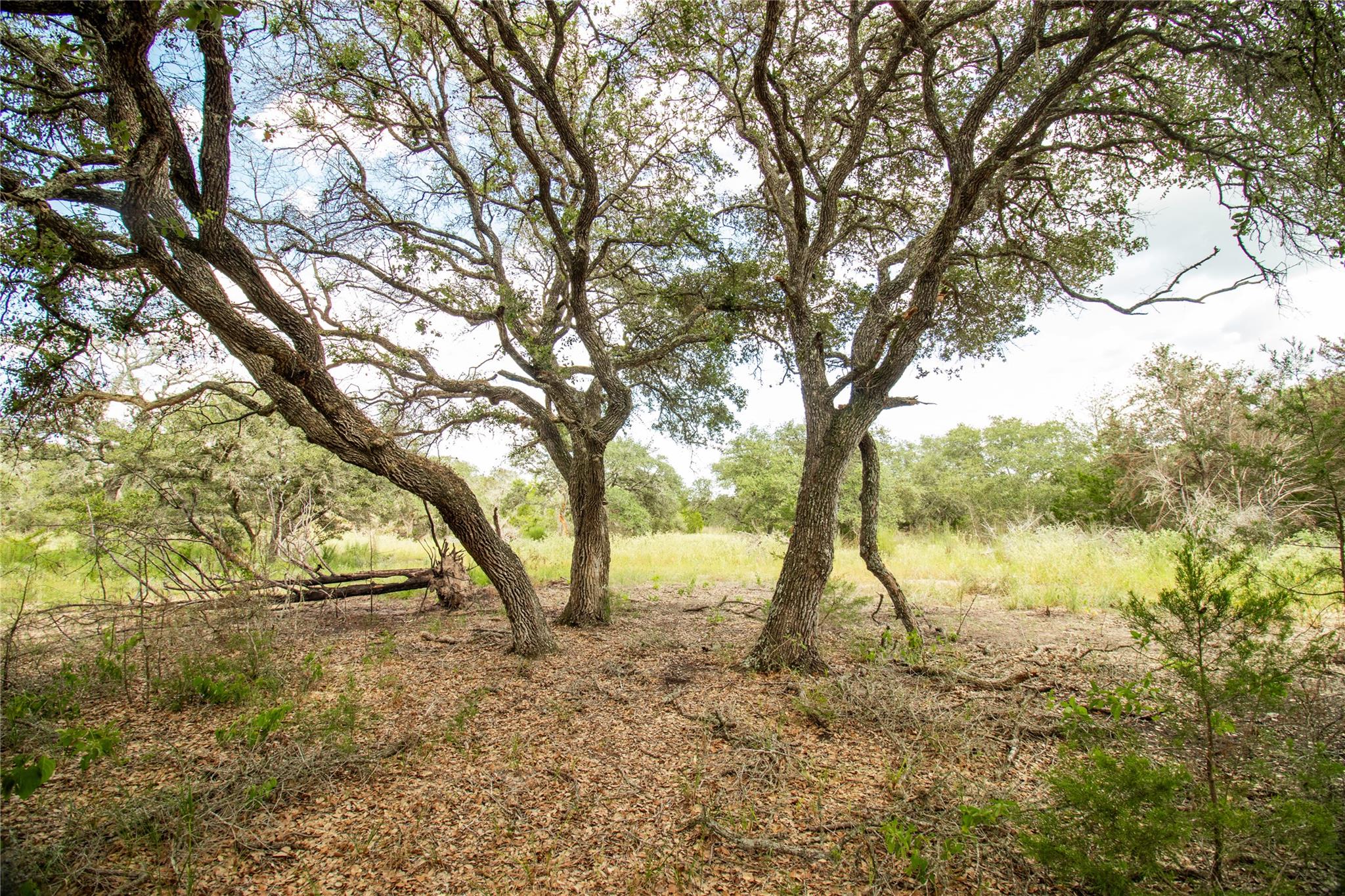 000 County Road 15, Hallettsville, TX 77964